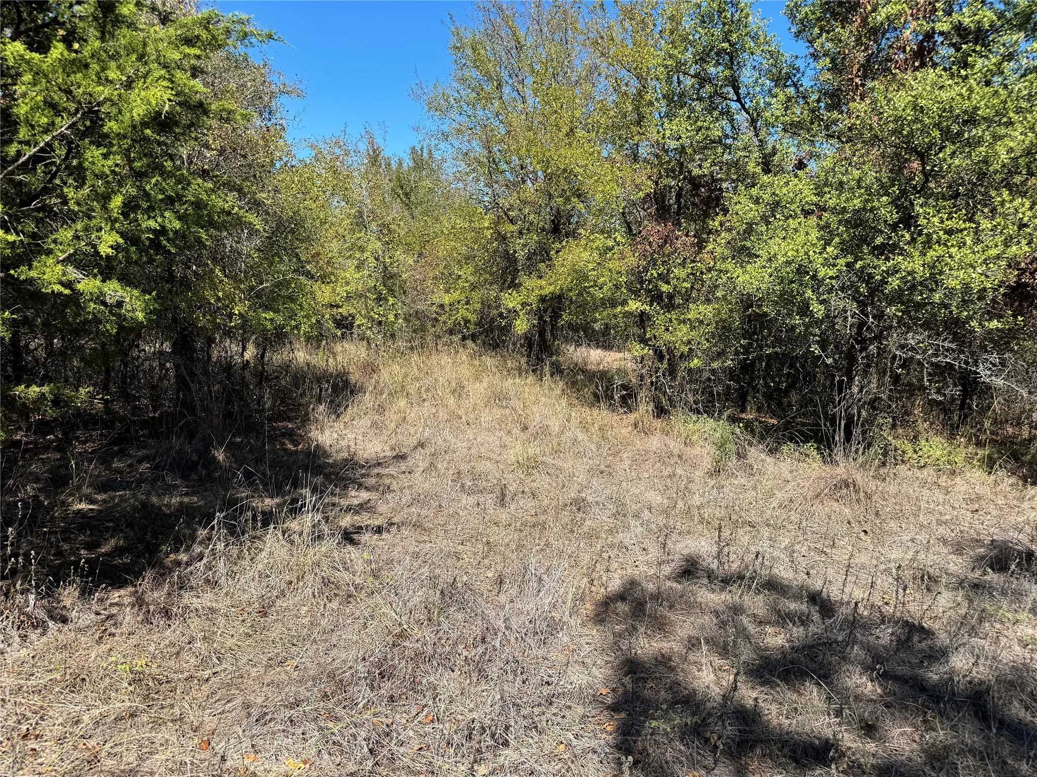 Unimproved Land For Sale in Hood County , 3707 Bob White Court, Granbury, Texas 76049, 0, 0, Garage spaces, 0 Sqft, built in 0, mls#21409209, Real Estate Agent in Granbury, Homes For Sale in Hood county, Homes For Sale in Granbury, Realtor in Granbury Texas, Real Estate Brokerage Independent Realty Texas, Luminita Cordes Realtor