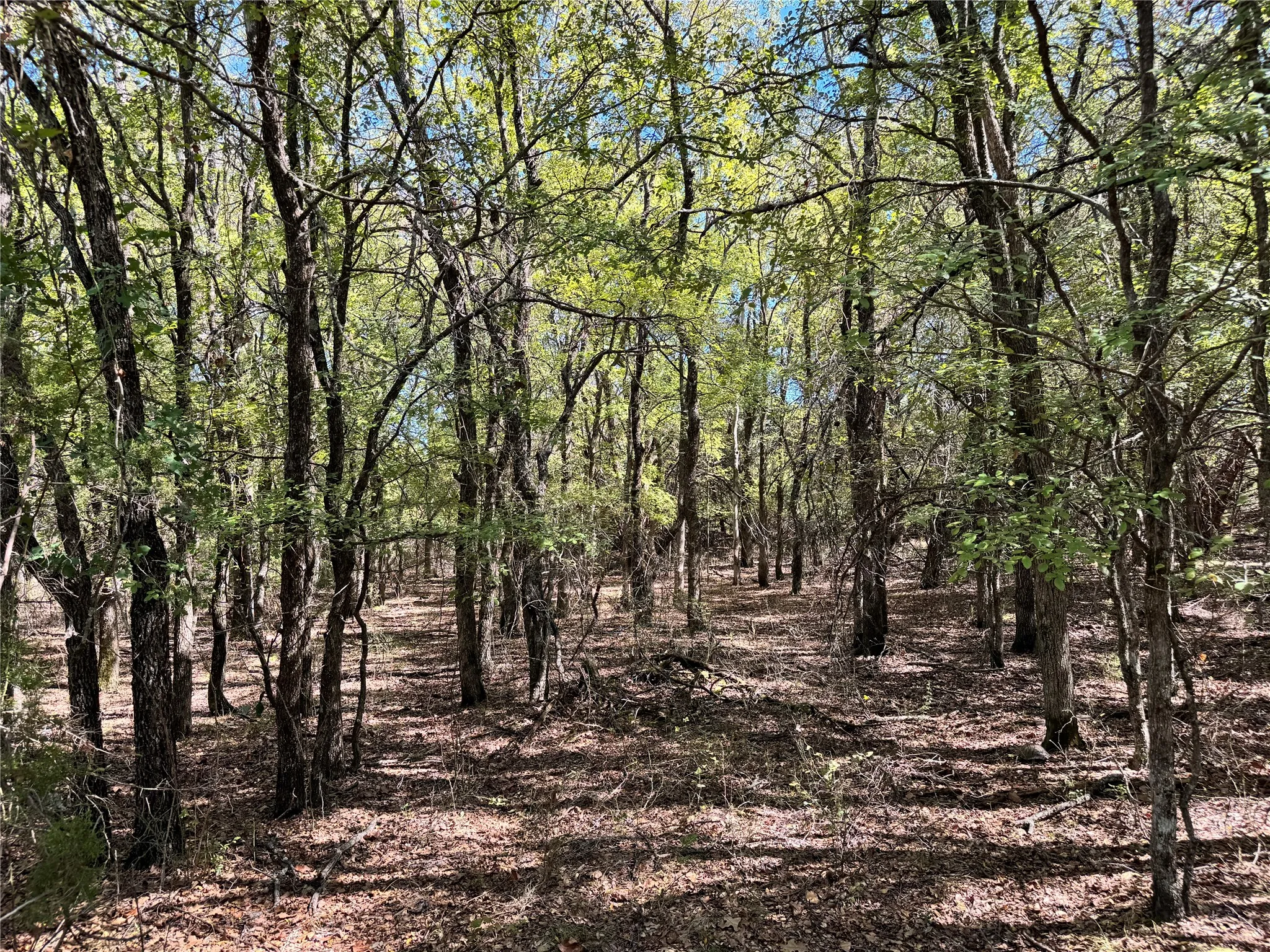 Unimproved Land For Sale in Hood County , 3707 Bob White Court, Granbury, Texas 76049, 0, 0, Garage spaces, 0 Sqft, built in 0, mls#21409209, Real Estate Agent in Granbury, Homes For Sale in Hood county, Homes For Sale in Granbury, Realtor in Granbury Texas, Real Estate Brokerage Independent Realty Texas, Luminita Cordes Realtor