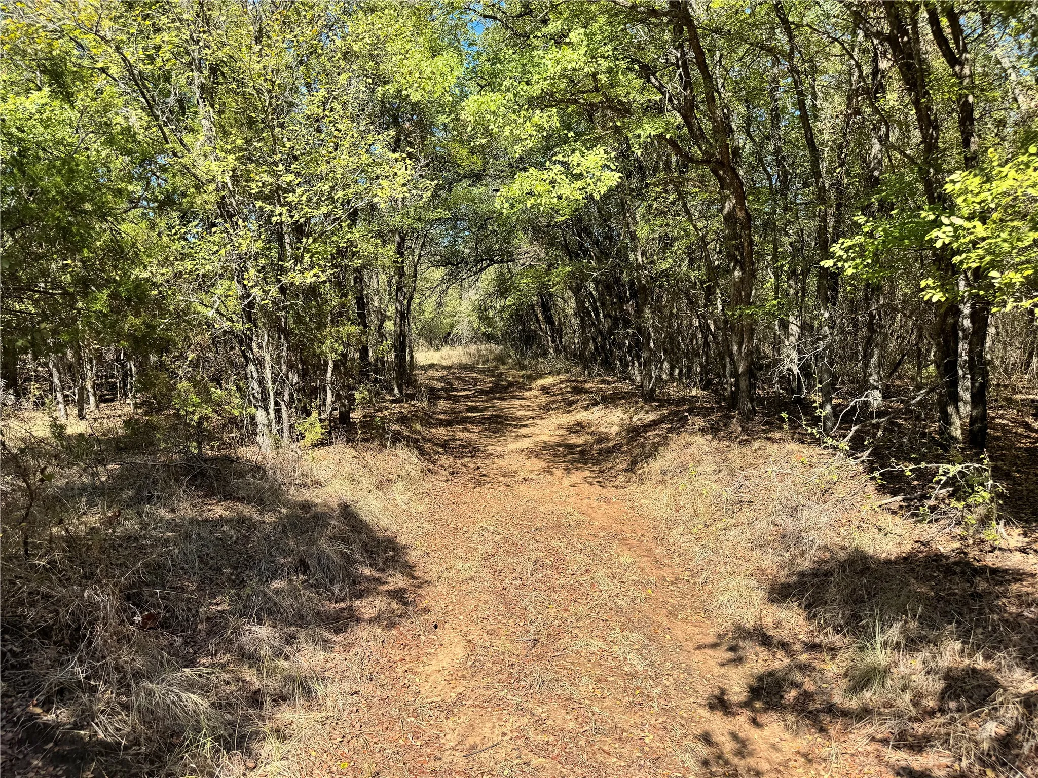 Unimproved Land For Sale in Hood County , 3707 Bob White Court, Granbury, Texas 76049, 0, 0, Garage spaces, 0 Sqft, built in 0, mls#21409209, Real Estate Agent in Granbury, Homes For Sale in Hood county, Homes For Sale in Granbury, Realtor in Granbury Texas, Real Estate Brokerage Independent Realty Texas, Luminita Cordes Realtor