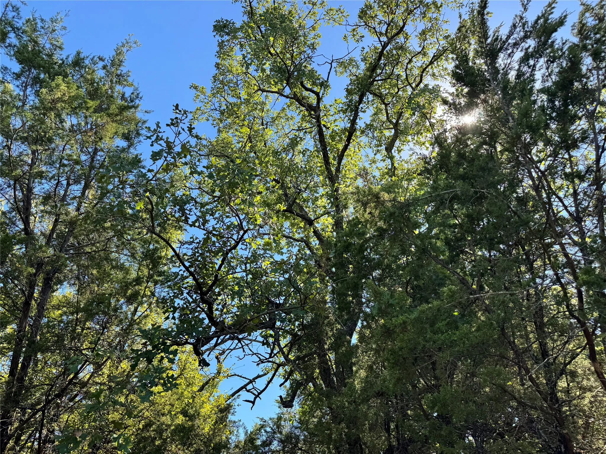 Unimproved Land For Sale in Hood County , 3707 Bob White Court, Granbury, Texas 76049, 0, 0, Garage spaces, 0 Sqft, built in 0, mls#21409209, Real Estate Agent in Granbury, Homes For Sale in Hood county, Homes For Sale in Granbury, Realtor in Granbury Texas, Real Estate Brokerage Independent Realty Texas, Luminita Cordes Realtor