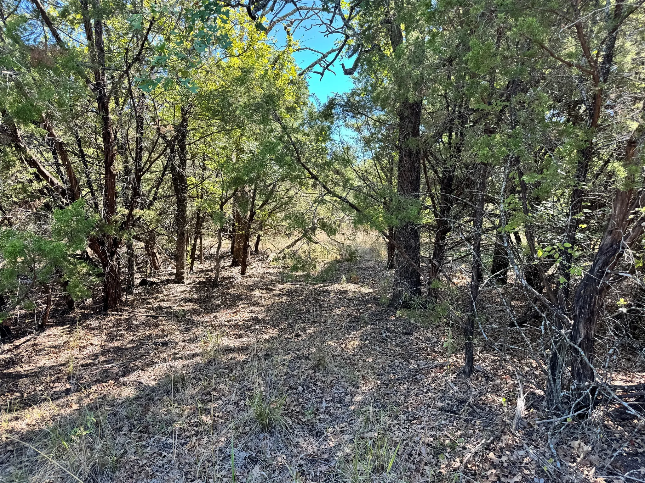 Unimproved Land For Sale in Hood County , 3707 Bob White Court, Granbury, Texas 76049, 0, 0, Garage spaces, 0 Sqft, built in 0, mls#21409209, Real Estate Agent in Granbury, Homes For Sale in Hood county, Homes For Sale in Granbury, Realtor in Granbury Texas, Real Estate Brokerage Independent Realty Texas, Luminita Cordes Realtor