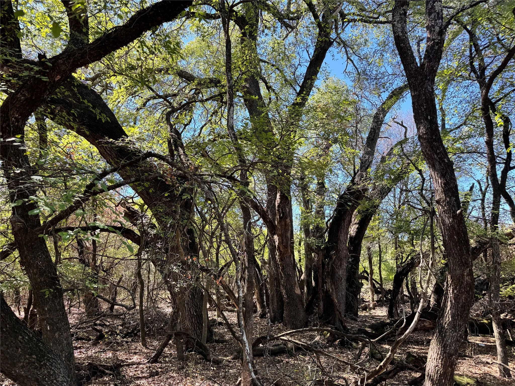 Unimproved Land For Sale in Hood County , 3707 Bob White Court, Granbury, Texas 76049, 0, 0, Garage spaces, 0 Sqft, built in 0, mls#21409209, Real Estate Agent in Granbury, Homes For Sale in Hood county, Homes For Sale in Granbury, Realtor in Granbury Texas, Real Estate Brokerage Independent Realty Texas, Luminita Cordes Realtor