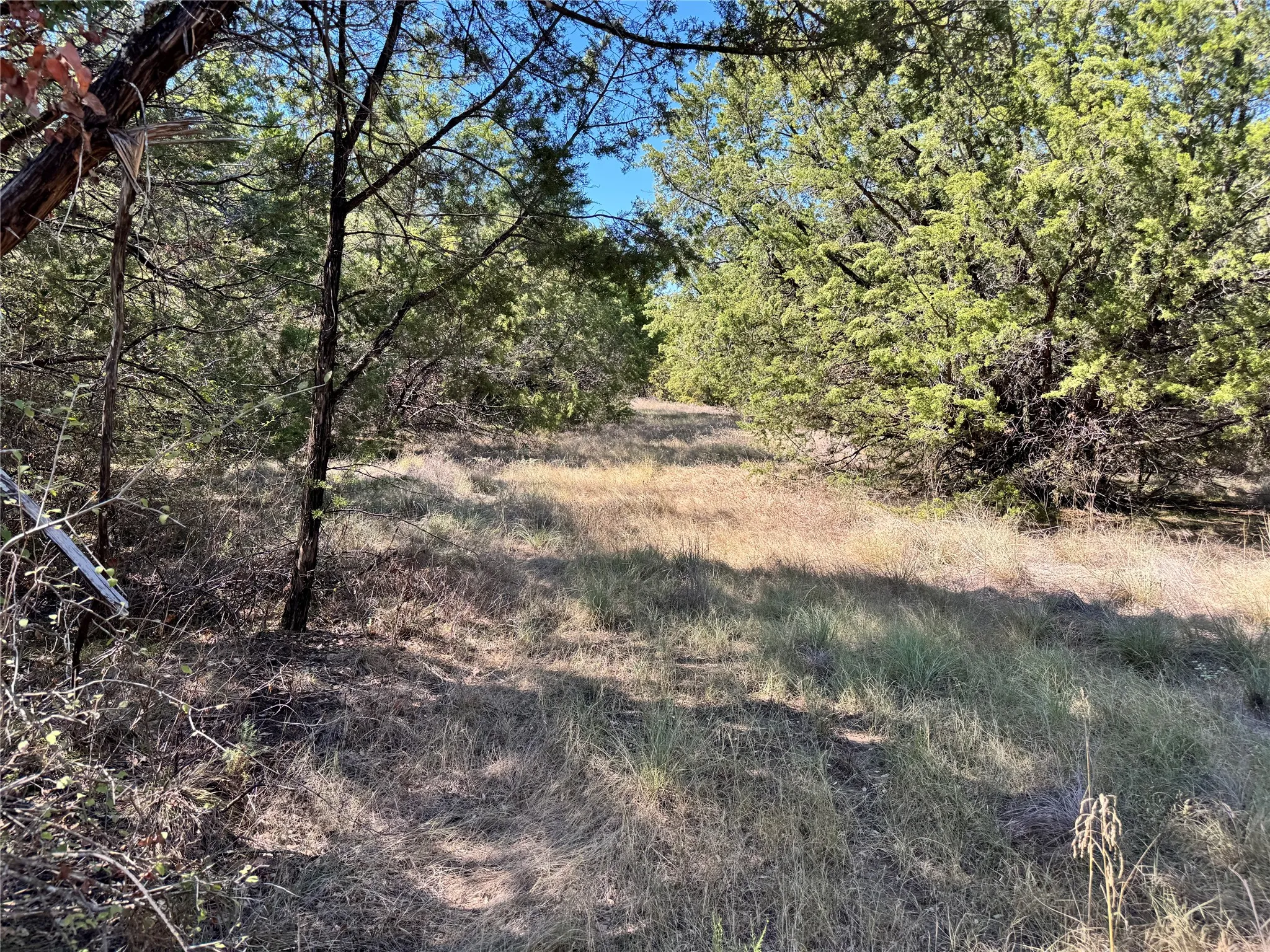 Unimproved Land For Sale in Hood County , 3707 Bob White Court, Granbury, Texas 76049, 0, 0, Garage spaces, 0 Sqft, built in 0, mls#21409209, Real Estate Agent in Granbury, Homes For Sale in Hood county, Homes For Sale in Granbury, Realtor in Granbury Texas, Real Estate Brokerage Independent Realty Texas, Luminita Cordes Realtor