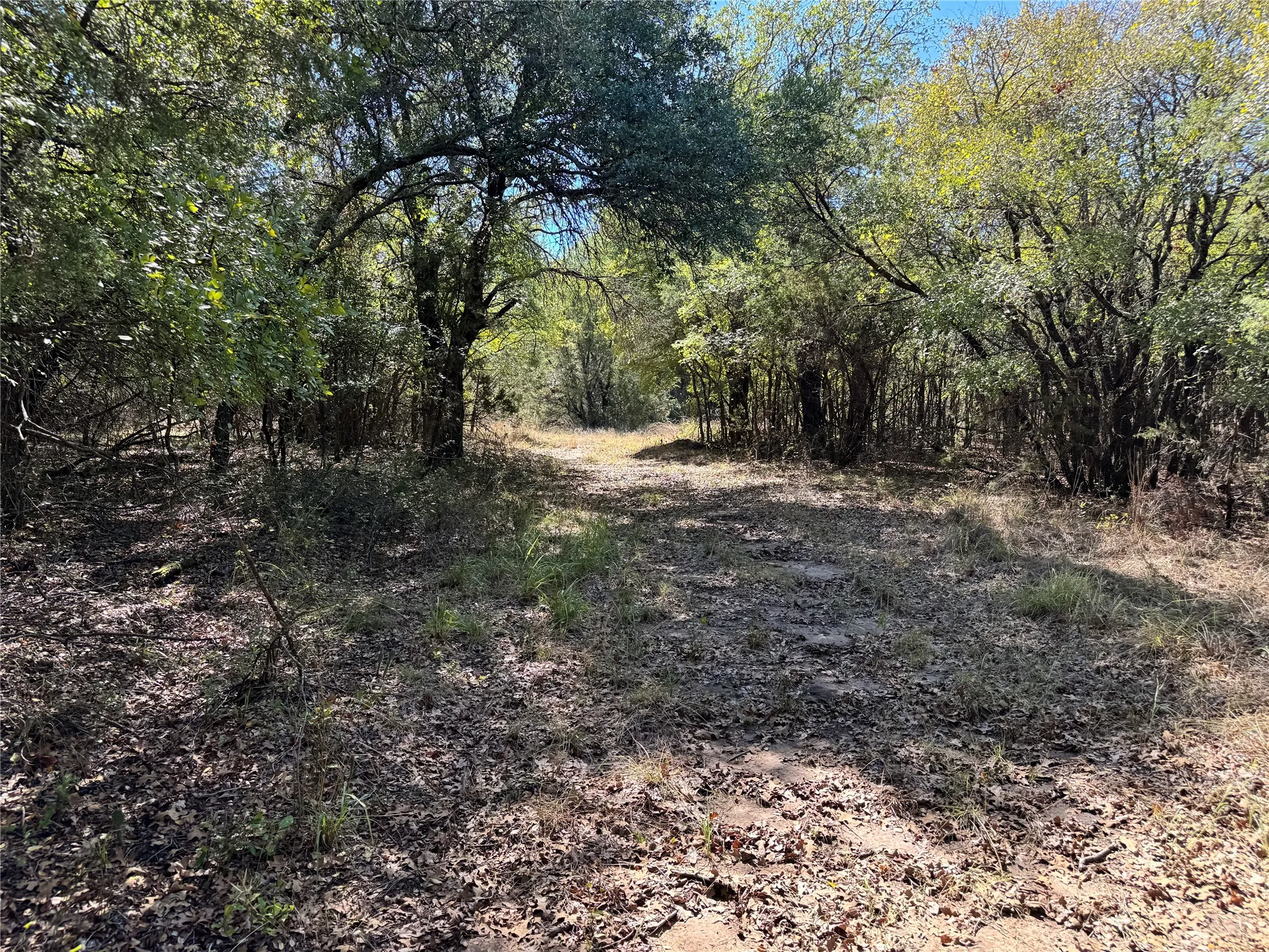 Unimproved Land For Sale in Hood County , 3707 Bob White Court, Granbury, Texas 76049, 0, 0, Garage spaces, 0 Sqft, built in 0, mls#21409209, Real Estate Agent in Granbury, Homes For Sale in Hood county, Homes For Sale in Granbury, Realtor in Granbury Texas, Real Estate Brokerage Independent Realty Texas, Luminita Cordes Realtor