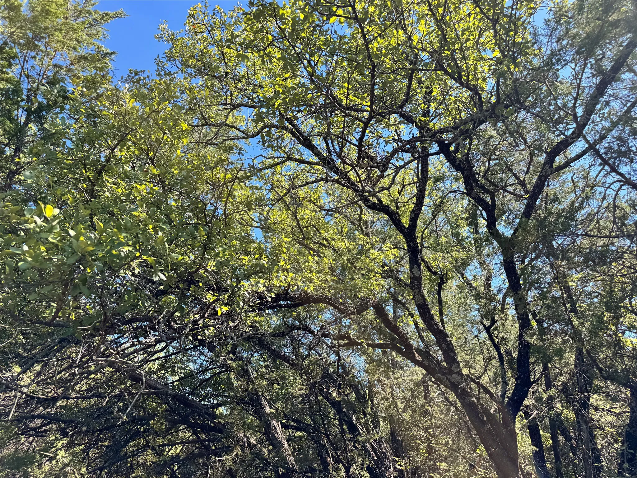 Unimproved Land For Sale in Hood County , 3707 Bob White Court, Granbury, Texas 76049, 0, 0, Garage spaces, 0 Sqft, built in 0, mls#21409209, Real Estate Agent in Granbury, Homes For Sale in Hood county, Homes For Sale in Granbury, Realtor in Granbury Texas, Real Estate Brokerage Independent Realty Texas, Luminita Cordes Realtor