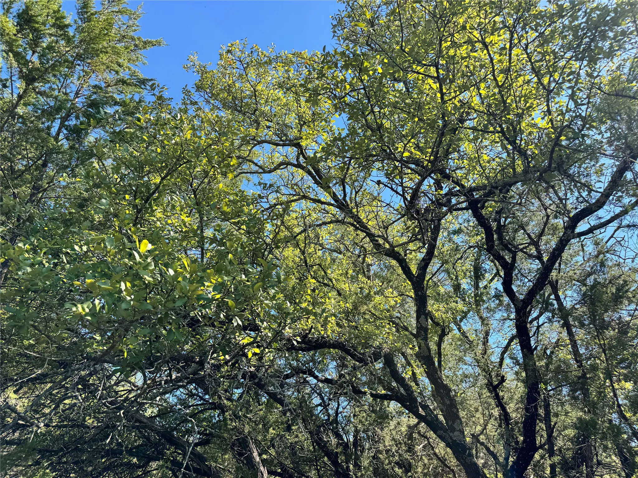 Unimproved Land For Sale in Hood County , 3707 Bob White Court, Granbury, Texas 76049, 0, 0, Garage spaces, 0 Sqft, built in 0, mls#21409209, Real Estate Agent in Granbury, Homes For Sale in Hood county, Homes For Sale in Granbury, Realtor in Granbury Texas, Real Estate Brokerage Independent Realty Texas, Luminita Cordes Realtor