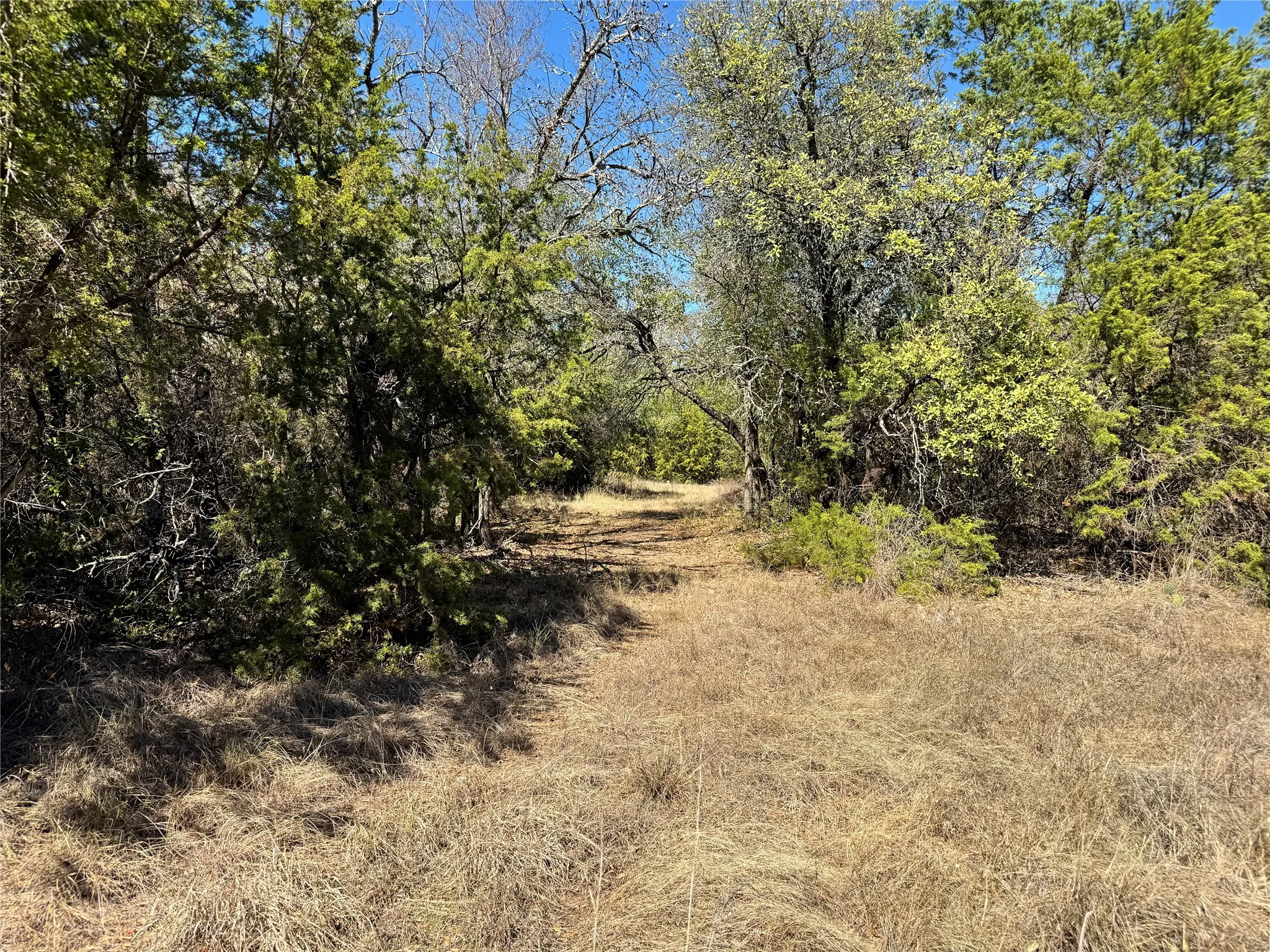 Unimproved Land For Sale in Hood County , 3707 Bob White Court, Granbury, Texas 76049, 0, 0, Garage spaces, 0 Sqft, built in 0, mls#21409209, Real Estate Agent in Granbury, Homes For Sale in Hood county, Homes For Sale in Granbury, Realtor in Granbury Texas, Real Estate Brokerage Independent Realty Texas, Luminita Cordes Realtor