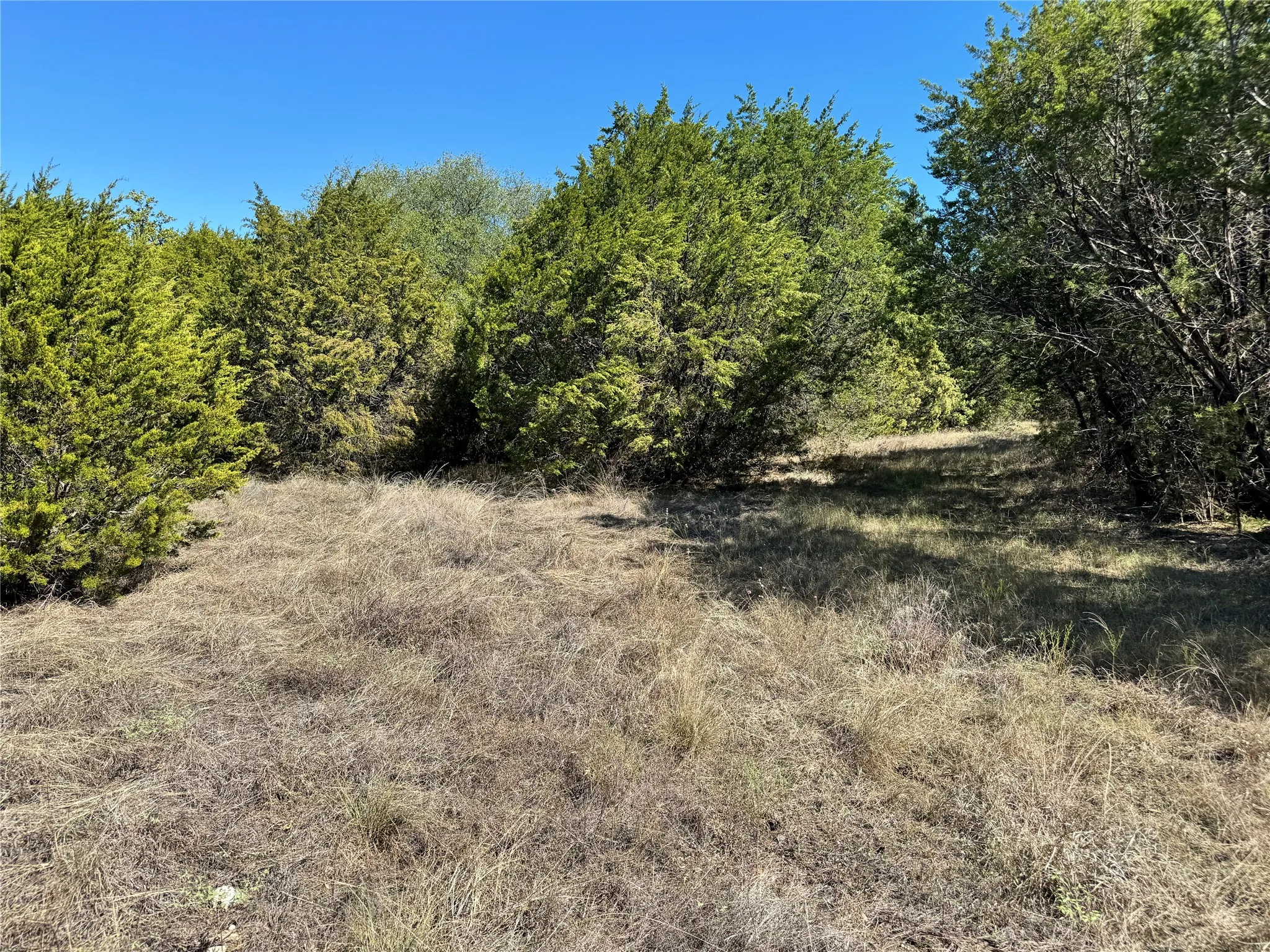 Unimproved Land For Sale in Hood County , 3707 Bob White Court, Granbury, Texas 76049, 0, 0, Garage spaces, 0 Sqft, built in 0, mls#21409209, Real Estate Agent in Granbury, Homes For Sale in Hood county, Homes For Sale in Granbury, Realtor in Granbury Texas, Real Estate Brokerage Independent Realty Texas, Luminita Cordes Realtor