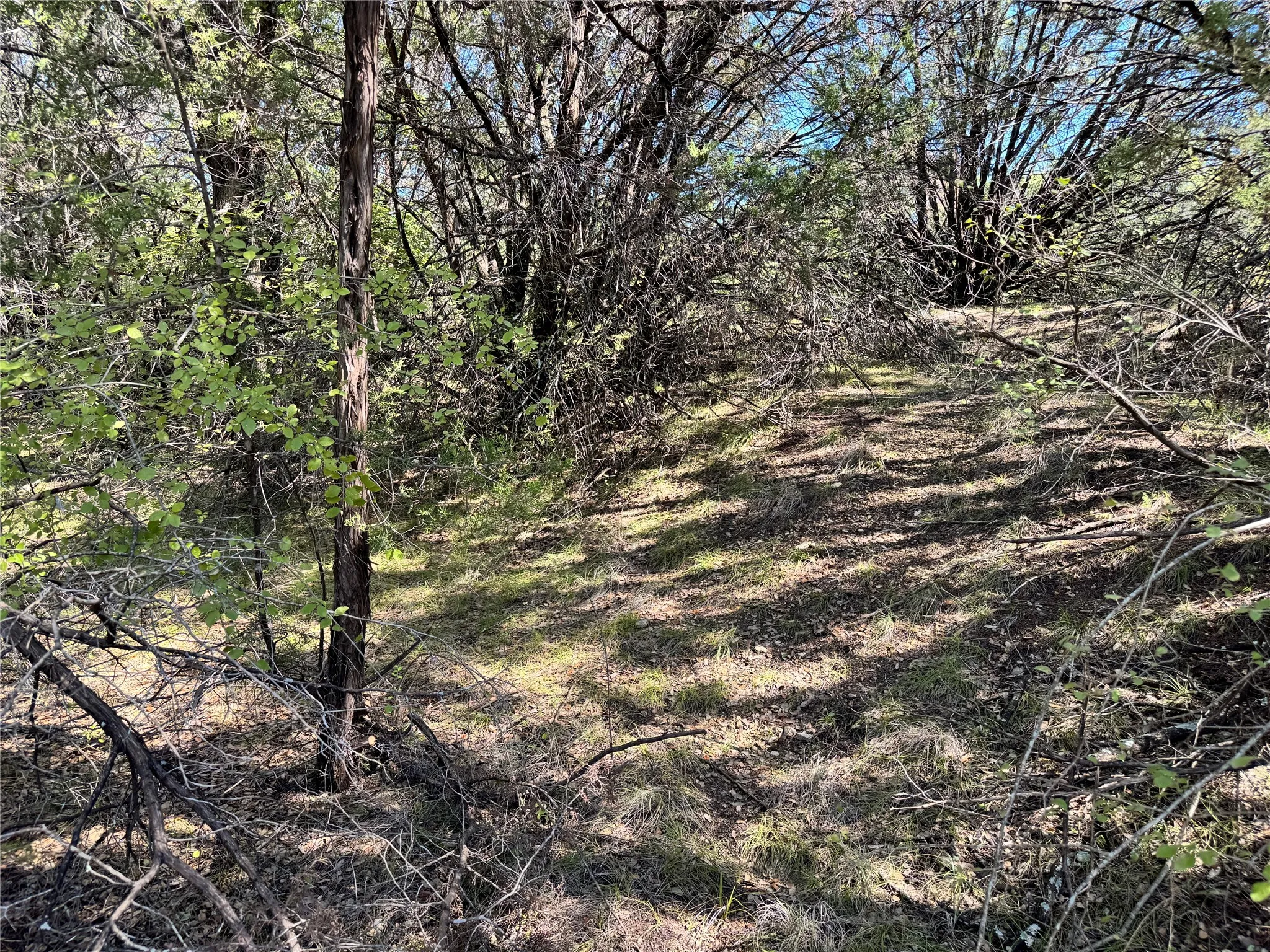 Unimproved Land For Sale in Hood County , 3707 Bob White Court, Granbury, Texas 76049, 0, 0, Garage spaces, 0 Sqft, built in 0, mls#21409209, Real Estate Agent in Granbury, Homes For Sale in Hood county, Homes For Sale in Granbury, Realtor in Granbury Texas, Real Estate Brokerage Independent Realty Texas, Luminita Cordes Realtor
