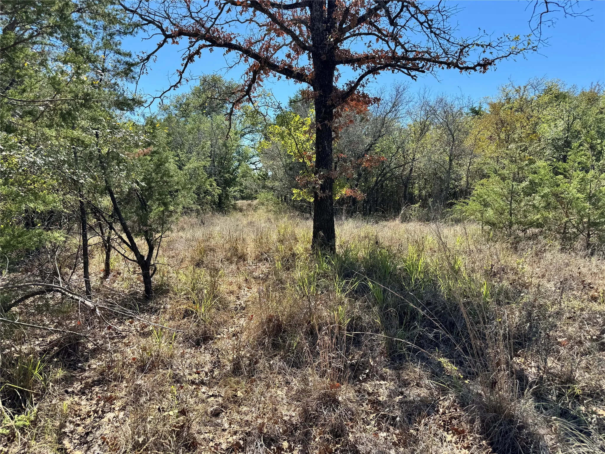 Unimproved Land For Sale in Hood County , 3707 Bob White Court, Granbury, Texas 76049, 0, 0, Garage spaces, 0 Sqft, built in 0, mls#21409209, Real Estate Agent in Granbury, Homes For Sale in Hood county, Homes For Sale in Granbury, Realtor in Granbury Texas, Real Estate Brokerage Independent Realty Texas, Luminita Cordes Realtor