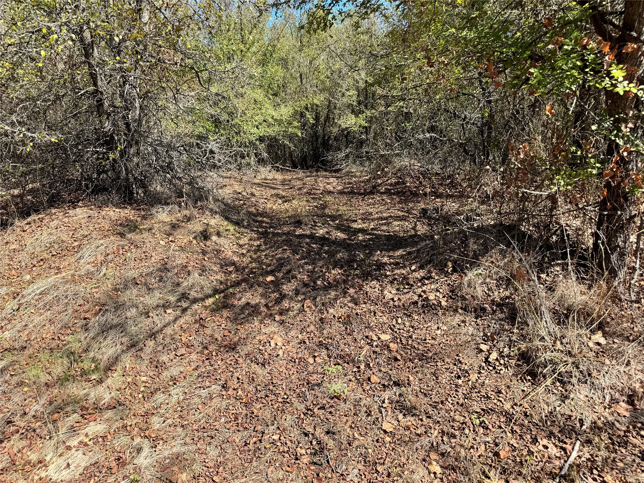 Unimproved Land For Sale in Hood County , 3707 Bob White Court, Granbury, Texas 76049, 0, 0, Garage spaces, 0 Sqft, built in 0, mls#21409209, Real Estate Agent in Granbury, Homes For Sale in Hood county, Homes For Sale in Granbury, Realtor in Granbury Texas, Real Estate Brokerage Independent Realty Texas, Luminita Cordes Realtor