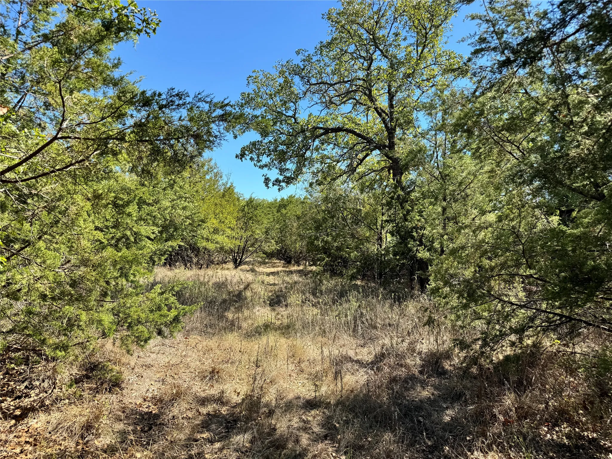Unimproved Land For Sale in Hood County , 3707 Bob White Court, Granbury, Texas 76049, 0, 0, Garage spaces, 0 Sqft, built in 0, mls#21409209, Real Estate Agent in Granbury, Homes For Sale in Hood county, Homes For Sale in Granbury, Realtor in Granbury Texas, Real Estate Brokerage Independent Realty Texas, Luminita Cordes Realtor