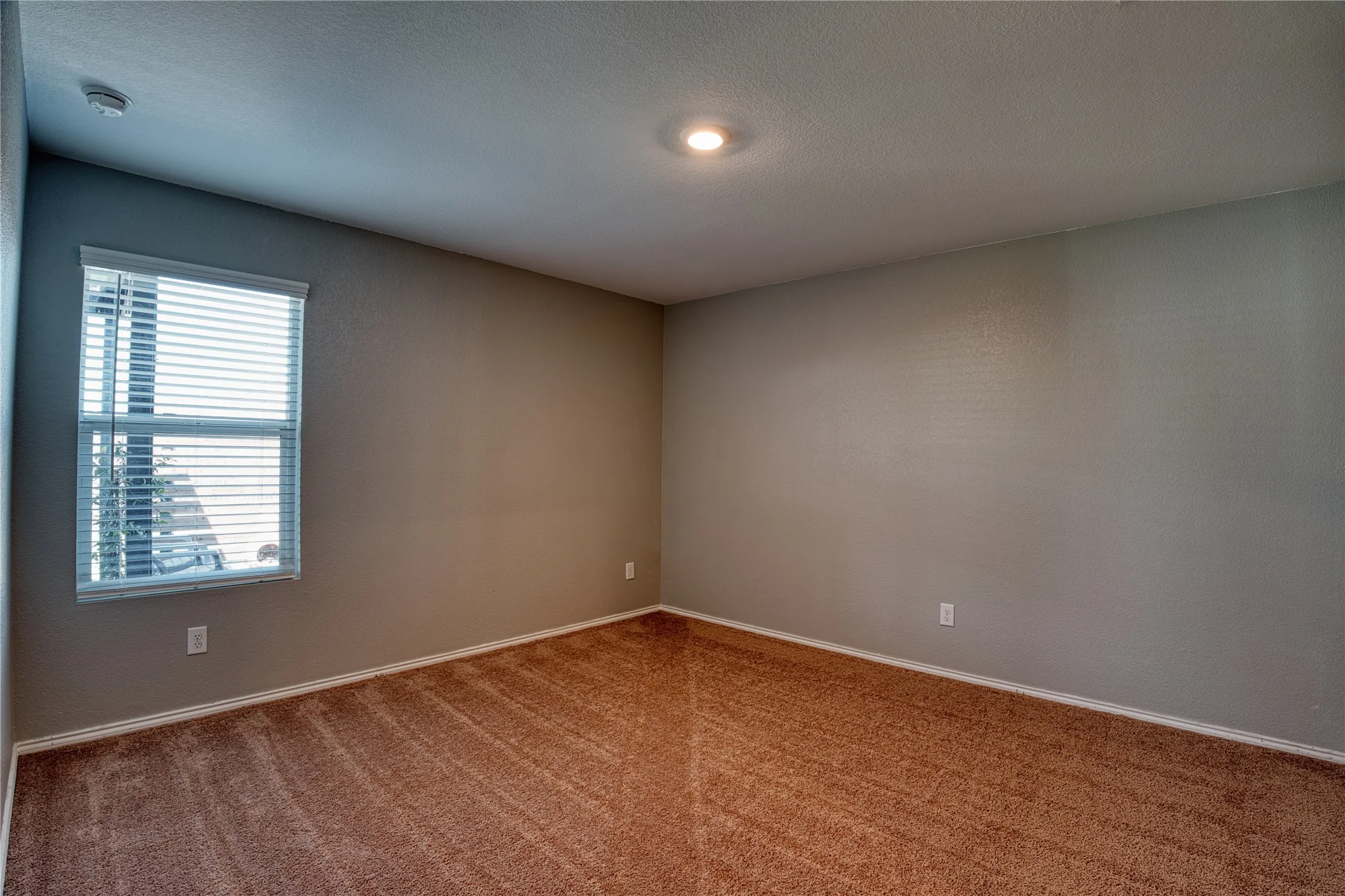 Recessed ceiling lighting, textured walls, and wall-to-wall carpeting