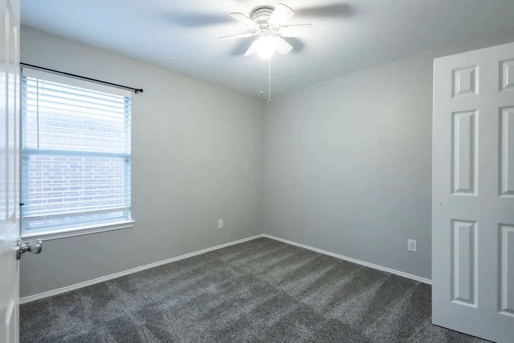 Soft gray carpeting with lighter gray walls and white trim