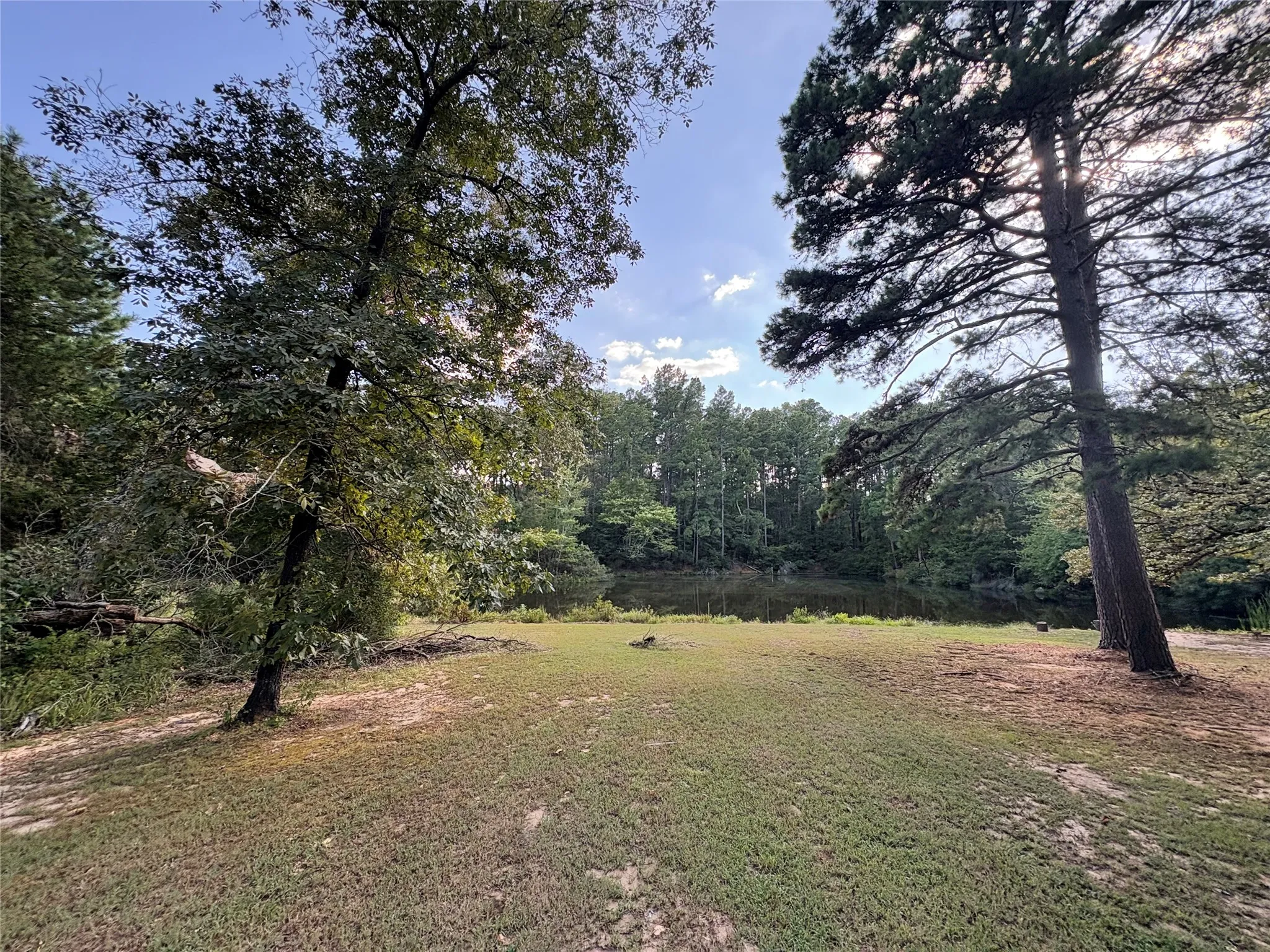 Expansive grassy area with mature trees and a tranquil pond