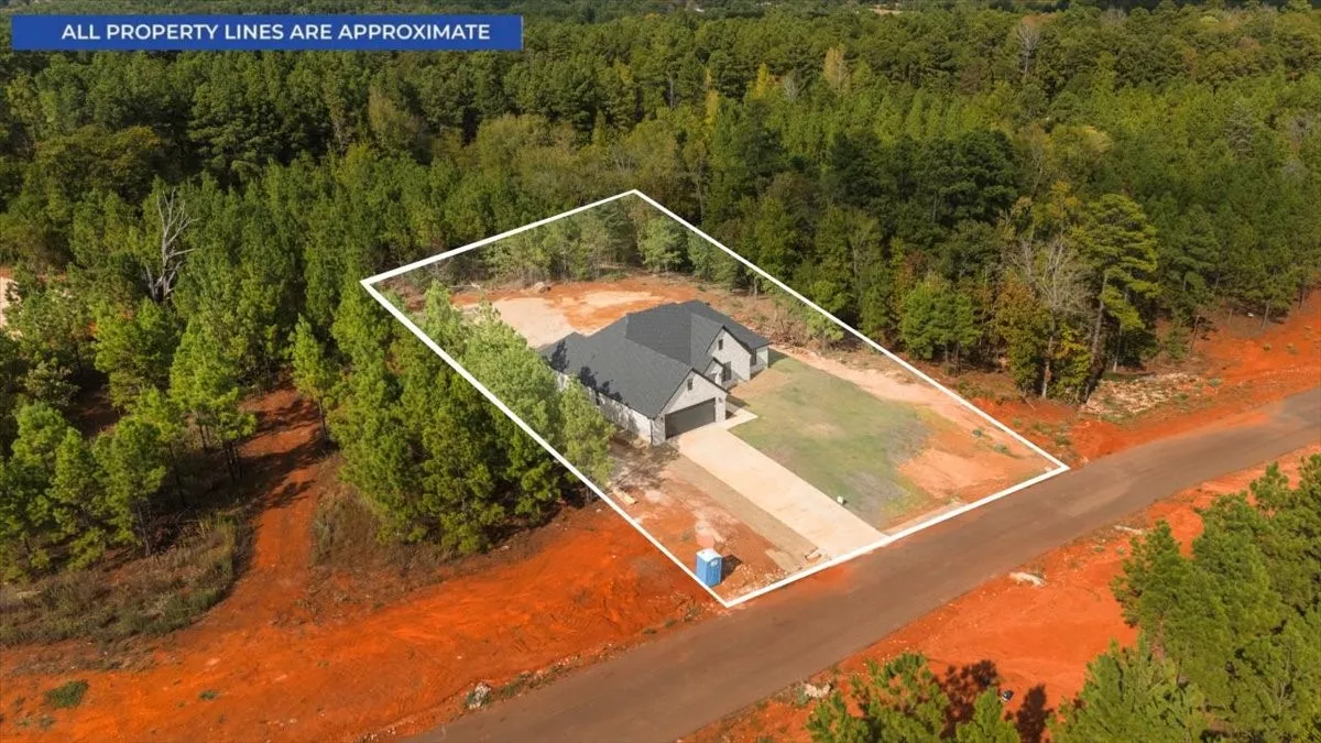 Newly constructed residence with an attached two-car garage, concrete driveway, and surrounding natural landscaping