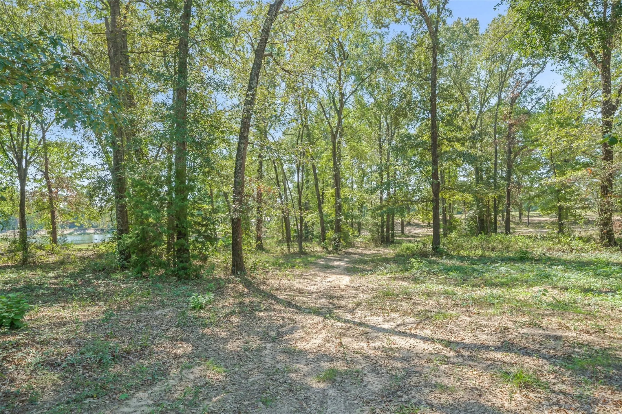 Single Family Residence For Sale in Van Zandt County , 1143 VZ County Road 4602, Ben Wheeler, Texas 75754, 3 Bedroom, 3 Bathroom, 2 Garage spaces, 2,340 Sqft, built in 2019, mls#21408746, Real Estate Agent in Ben Wheeler, Homes For Sale in Van Zandt county, Homes For Sale in Ben Wheeler, Realtor in Ben Wheeler Texas, Real Estate Brokerage Independent Realty Texas, Luminita Cordes Realtor