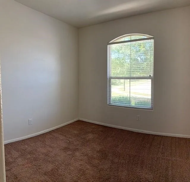 Arched window with horizontal blinds, complemented by light-colored walls and brown carpeting