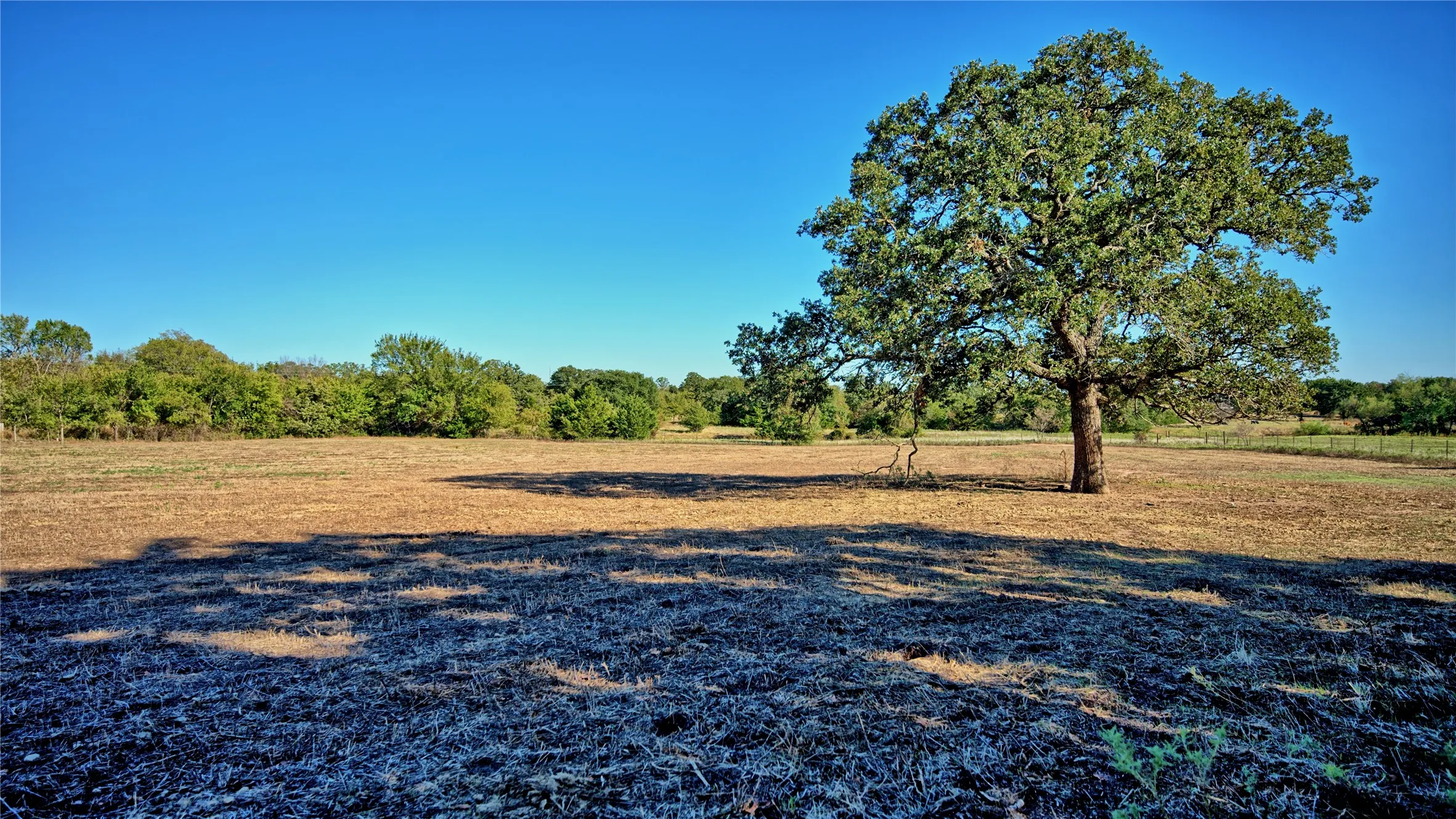 Single Family Residence For Sale in Montague County , 745 Winn Road, Bowie, Texas 76230, 3 Bedroom, 2 Bathroom, 2 Garage spaces, 2,377 Sqft, built in 1982, mls#21403573, Real Estate Agent in Bowie, Homes For Sale in Montague county, Homes For Sale in Bowie, Realtor in Bowie Texas, Real Estate Brokerage Independent Realty Texas, Luminita Cordes Realtor