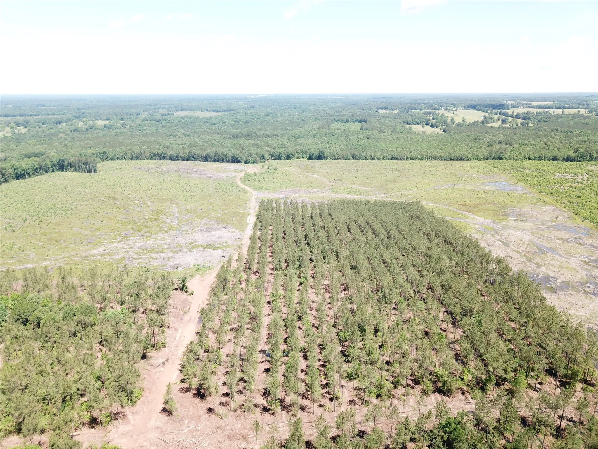 Unimproved Land For Sale in Bowie County , Off CR 4290, Simms, Texas 75574, 0, 0, Garage spaces, 0 Sqft, built in 0, mls#21409357, Real Estate Agent in Simms, Homes For Sale in Bowie county, Homes For Sale in Simms, Realtor in Simms Texas, Real Estate Brokerage Independent Realty Texas, Luminita Cordes Realtor