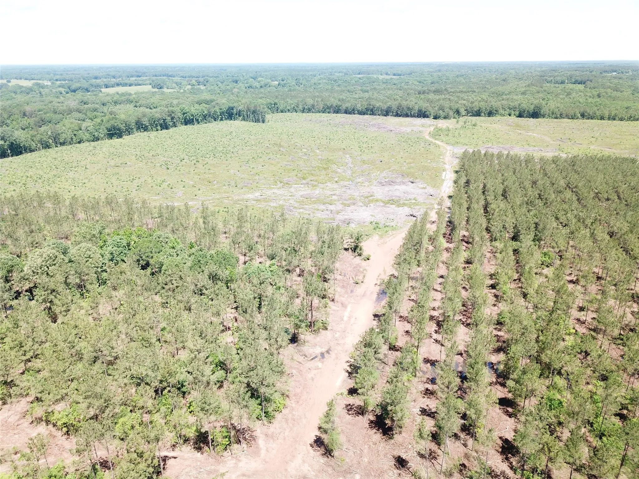 Unimproved Land For Sale in Bowie County , Off CR 4290, Simms, Texas 75574, 0, 0, Garage spaces, 0 Sqft, built in 0, mls#21409357, Real Estate Agent in Simms, Homes For Sale in Bowie county, Homes For Sale in Simms, Realtor in Simms Texas, Real Estate Brokerage Independent Realty Texas, Luminita Cordes Realtor