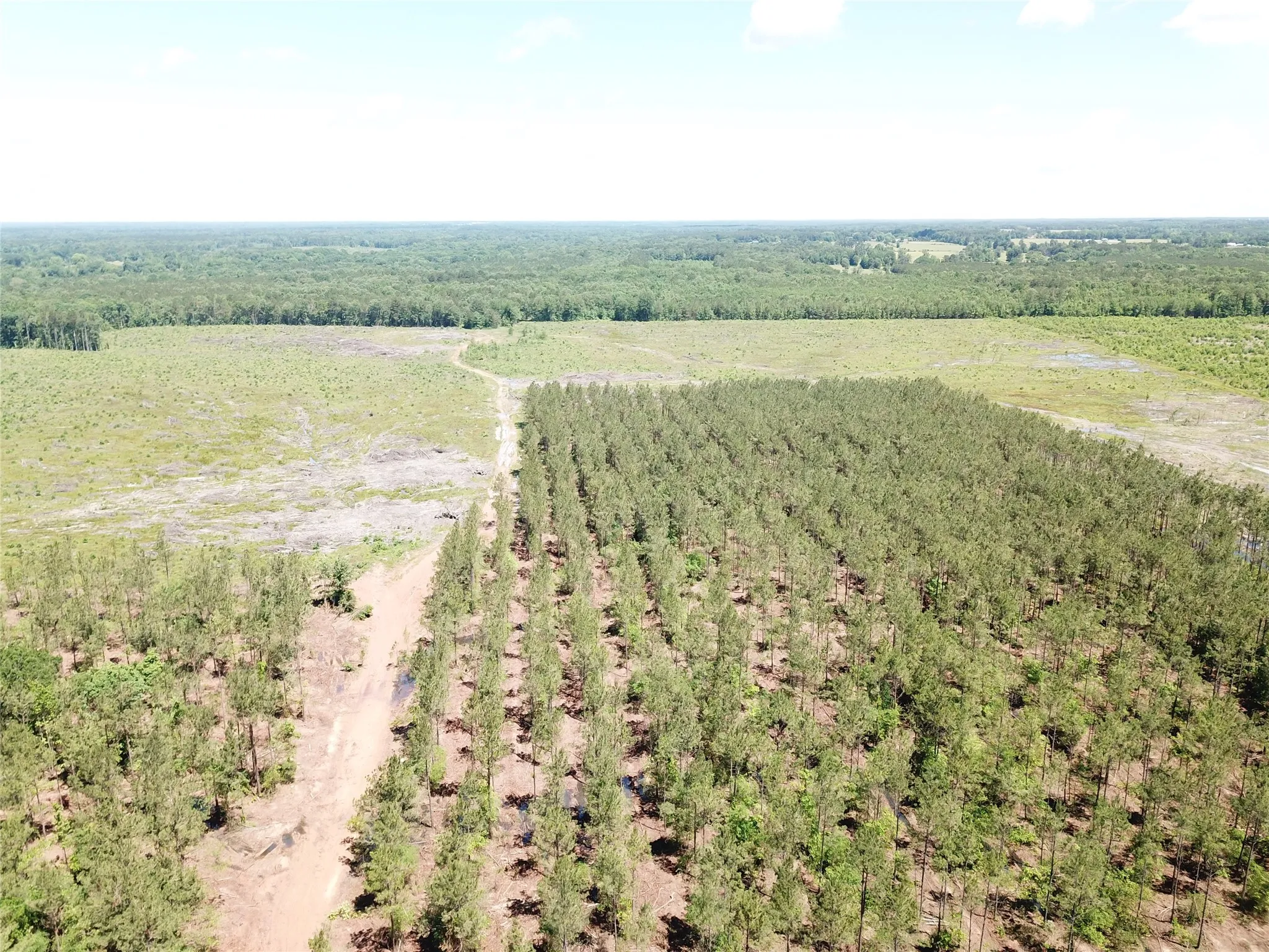 Unimproved Land For Sale in Bowie County , Off CR 4290, Simms, Texas 75574, 0, 0, Garage spaces, 0 Sqft, built in 0, mls#21409357, Real Estate Agent in Simms, Homes For Sale in Bowie county, Homes For Sale in Simms, Realtor in Simms Texas, Real Estate Brokerage Independent Realty Texas, Luminita Cordes Realtor