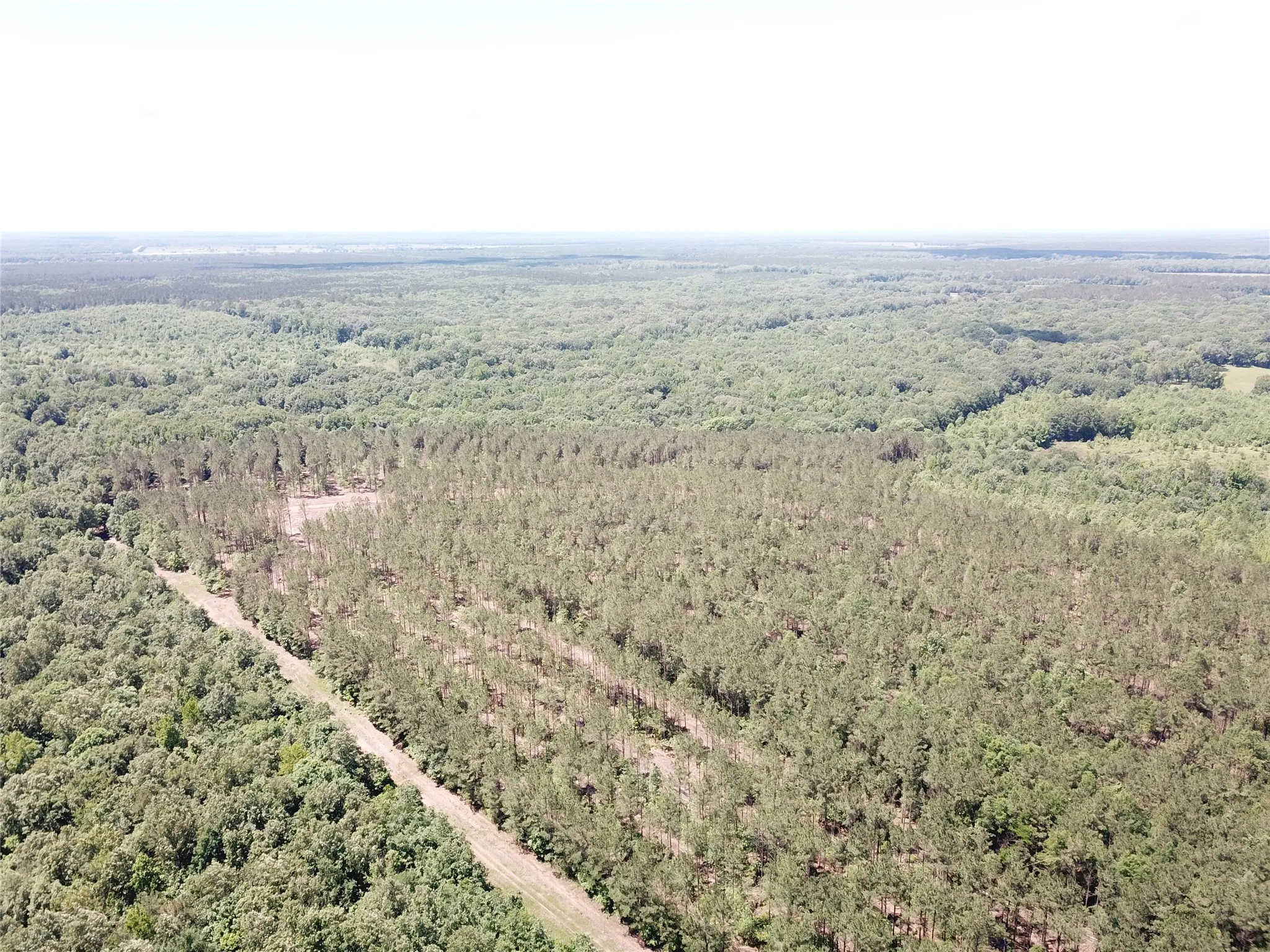 Unimproved Land For Sale in Bowie County , Off CR 4290, Simms, Texas 75574, 0, 0, Garage spaces, 0 Sqft, built in 0, mls#21409357, Real Estate Agent in Simms, Homes For Sale in Bowie county, Homes For Sale in Simms, Realtor in Simms Texas, Real Estate Brokerage Independent Realty Texas, Luminita Cordes Realtor