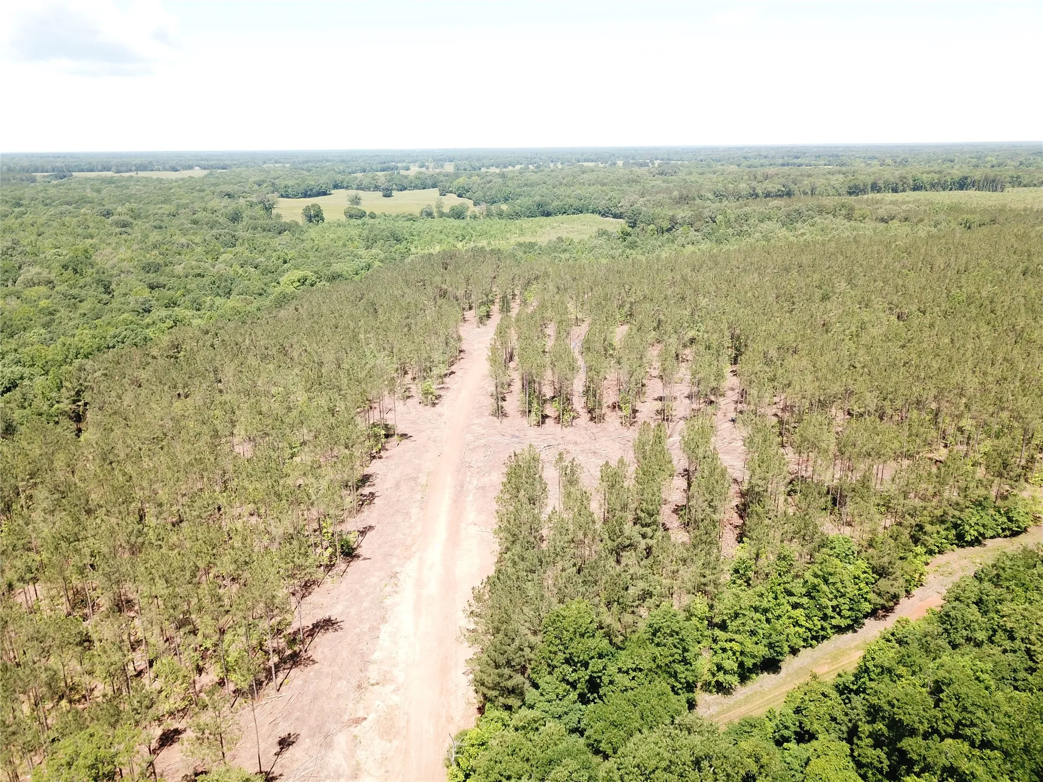 Unimproved Land For Sale in Bowie County , Off CR 4290, Simms, Texas 75574, 0, 0, Garage spaces, 0 Sqft, built in 0, mls#21409357, Real Estate Agent in Simms, Homes For Sale in Bowie county, Homes For Sale in Simms, Realtor in Simms Texas, Real Estate Brokerage Independent Realty Texas, Luminita Cordes Realtor
