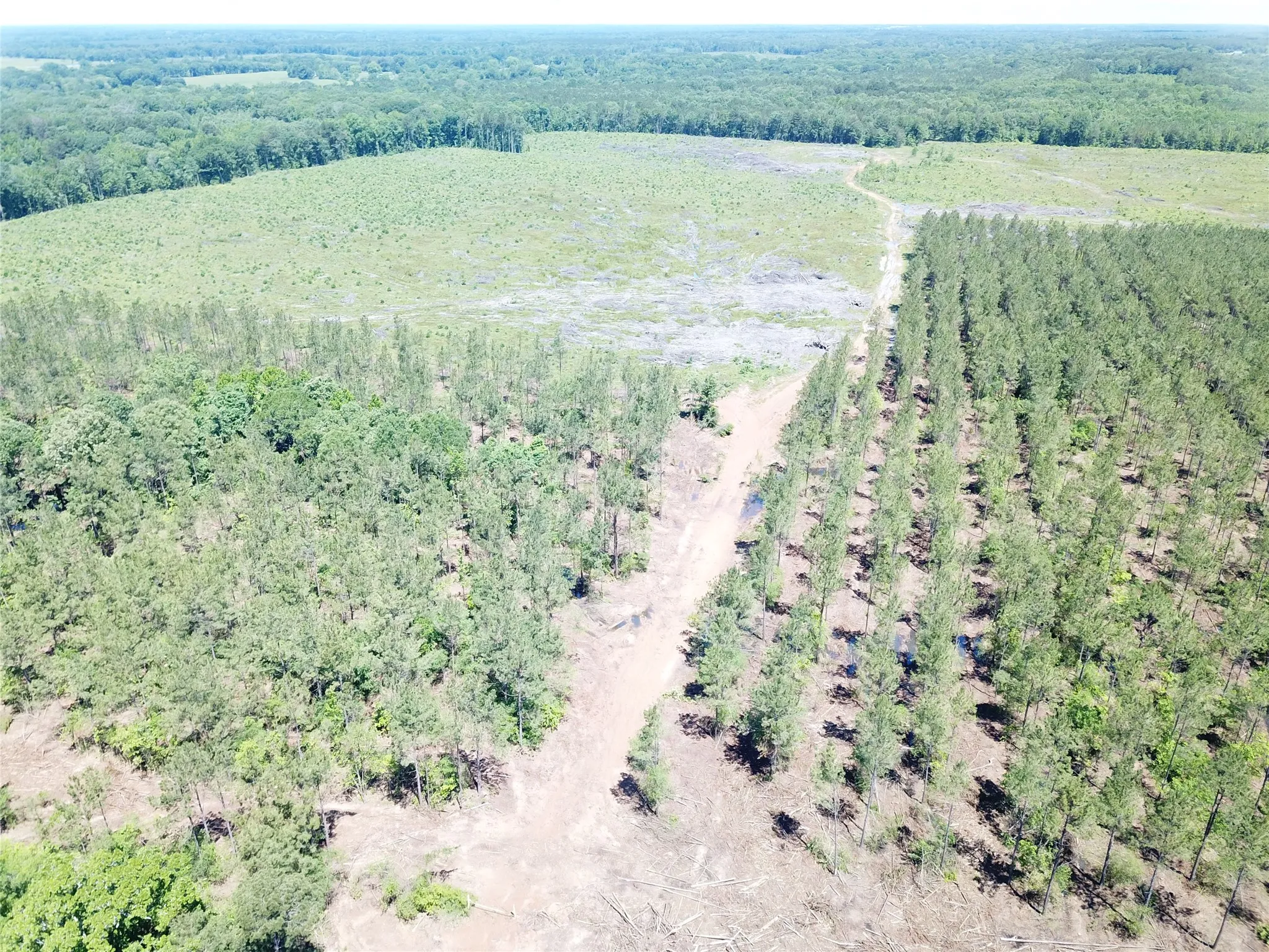Unimproved Land For Sale in Bowie County , Off CR 4290, Simms, Texas 75574, 0, 0, Garage spaces, 0 Sqft, built in 0, mls#21409357, Real Estate Agent in Simms, Homes For Sale in Bowie county, Homes For Sale in Simms, Realtor in Simms Texas, Real Estate Brokerage Independent Realty Texas, Luminita Cordes Realtor