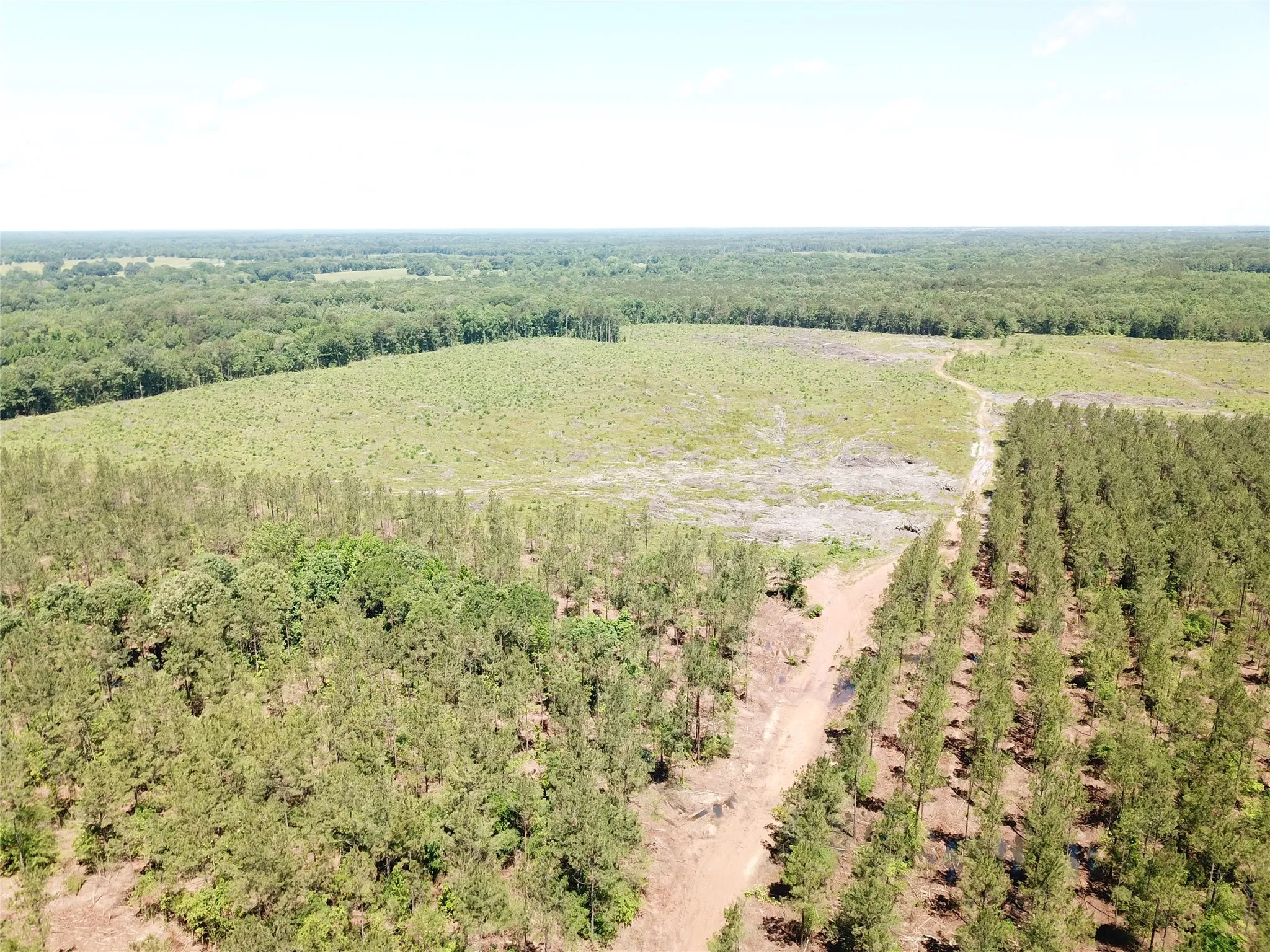 Unimproved Land For Sale in Bowie County , Off CR 4290, Simms, Texas 75574, 0, 0, Garage spaces, 0 Sqft, built in 0, mls#21409357, Real Estate Agent in Simms, Homes For Sale in Bowie county, Homes For Sale in Simms, Realtor in Simms Texas, Real Estate Brokerage Independent Realty Texas, Luminita Cordes Realtor