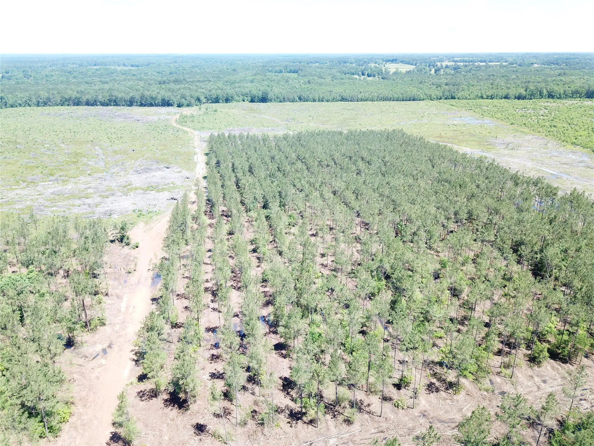 Unimproved Land For Sale in Bowie County , Off CR 4290, Simms, Texas 75574, 0, 0, Garage spaces, 0 Sqft, built in 0, mls#21409357, Real Estate Agent in Simms, Homes For Sale in Bowie county, Homes For Sale in Simms, Realtor in Simms Texas, Real Estate Brokerage Independent Realty Texas, Luminita Cordes Realtor