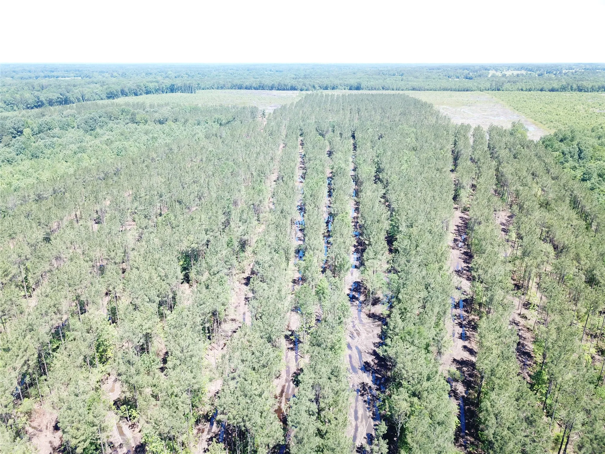 Unimproved Land For Sale in Bowie County , Off CR 4290, Simms, Texas 75574, 0, 0, Garage spaces, 0 Sqft, built in 0, mls#21409357, Real Estate Agent in Simms, Homes For Sale in Bowie county, Homes For Sale in Simms, Realtor in Simms Texas, Real Estate Brokerage Independent Realty Texas, Luminita Cordes Realtor