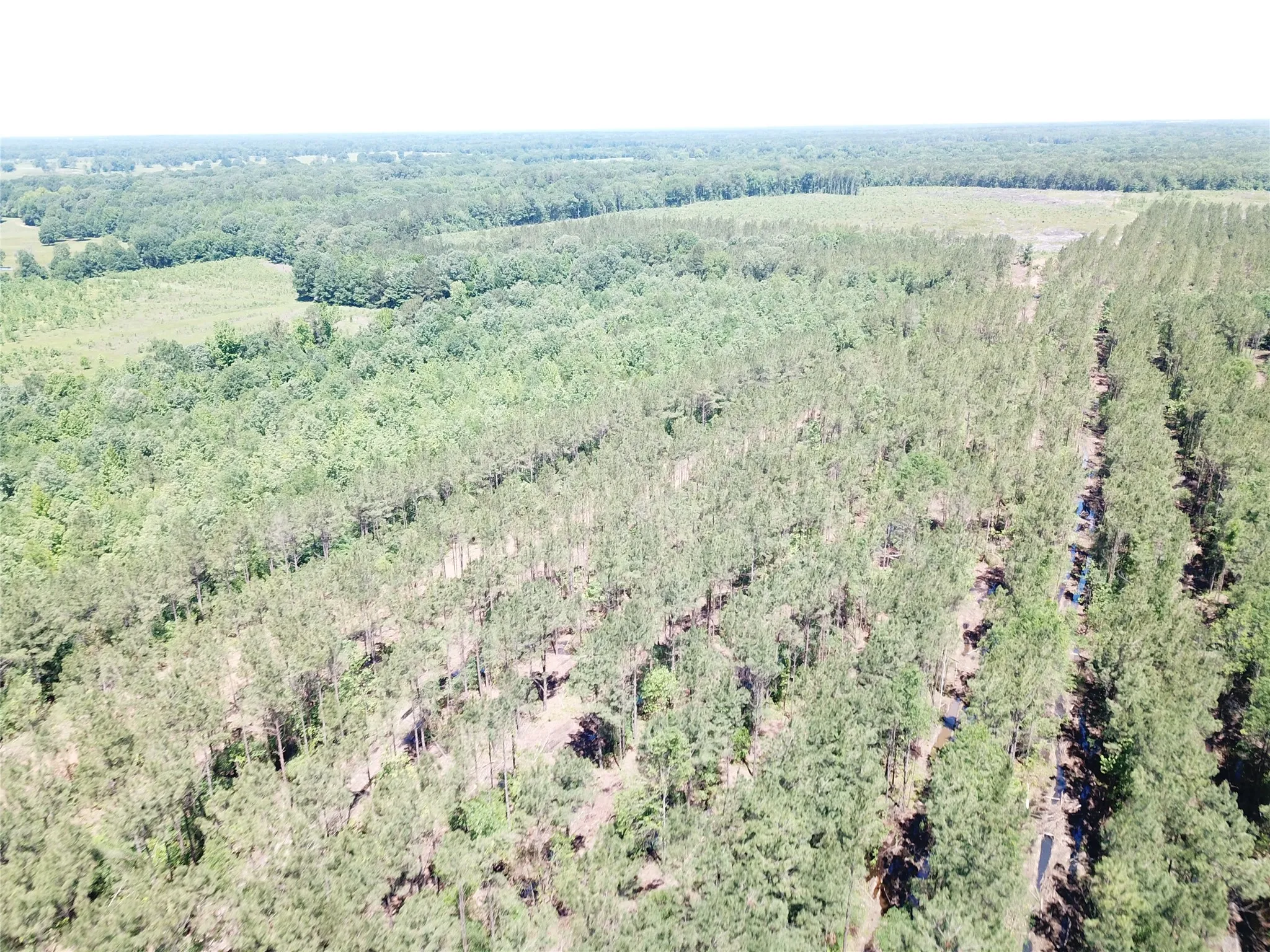 Unimproved Land For Sale in Bowie County , Off CR 4290, Simms, Texas 75574, 0, 0, Garage spaces, 0 Sqft, built in 0, mls#21409357, Real Estate Agent in Simms, Homes For Sale in Bowie county, Homes For Sale in Simms, Realtor in Simms Texas, Real Estate Brokerage Independent Realty Texas, Luminita Cordes Realtor