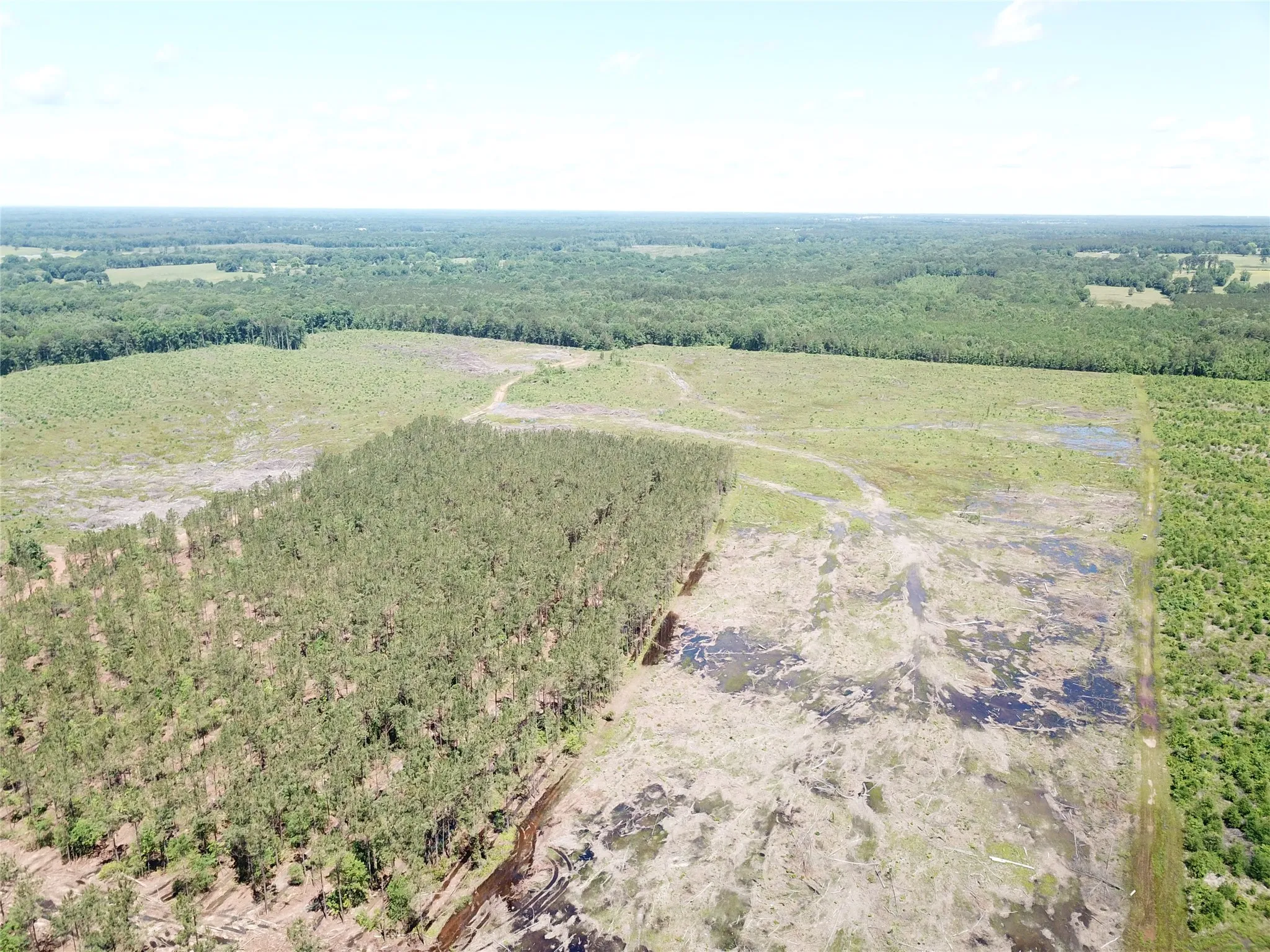 Unimproved Land For Sale in Bowie County , Off CR 4290, Simms, Texas 75574, 0, 0, Garage spaces, 0 Sqft, built in 0, mls#21409357, Real Estate Agent in Simms, Homes For Sale in Bowie county, Homes For Sale in Simms, Realtor in Simms Texas, Real Estate Brokerage Independent Realty Texas, Luminita Cordes Realtor