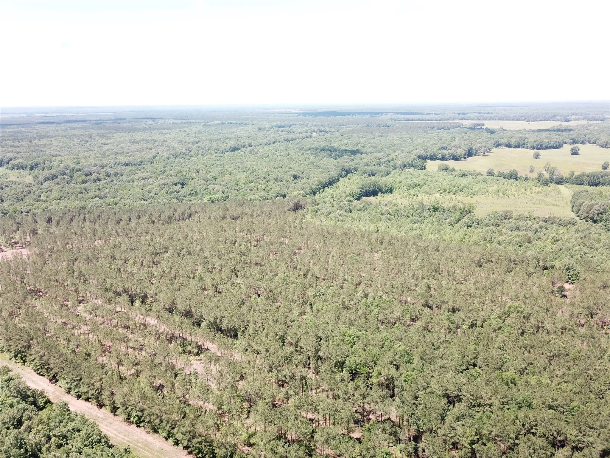 Unimproved Land For Sale in Bowie County , Off CR 4290, Simms, Texas 75574, 0, 0, Garage spaces, 0 Sqft, built in 0, mls#21409357, Real Estate Agent in Simms, Homes For Sale in Bowie county, Homes For Sale in Simms, Realtor in Simms Texas, Real Estate Brokerage Independent Realty Texas, Luminita Cordes Realtor