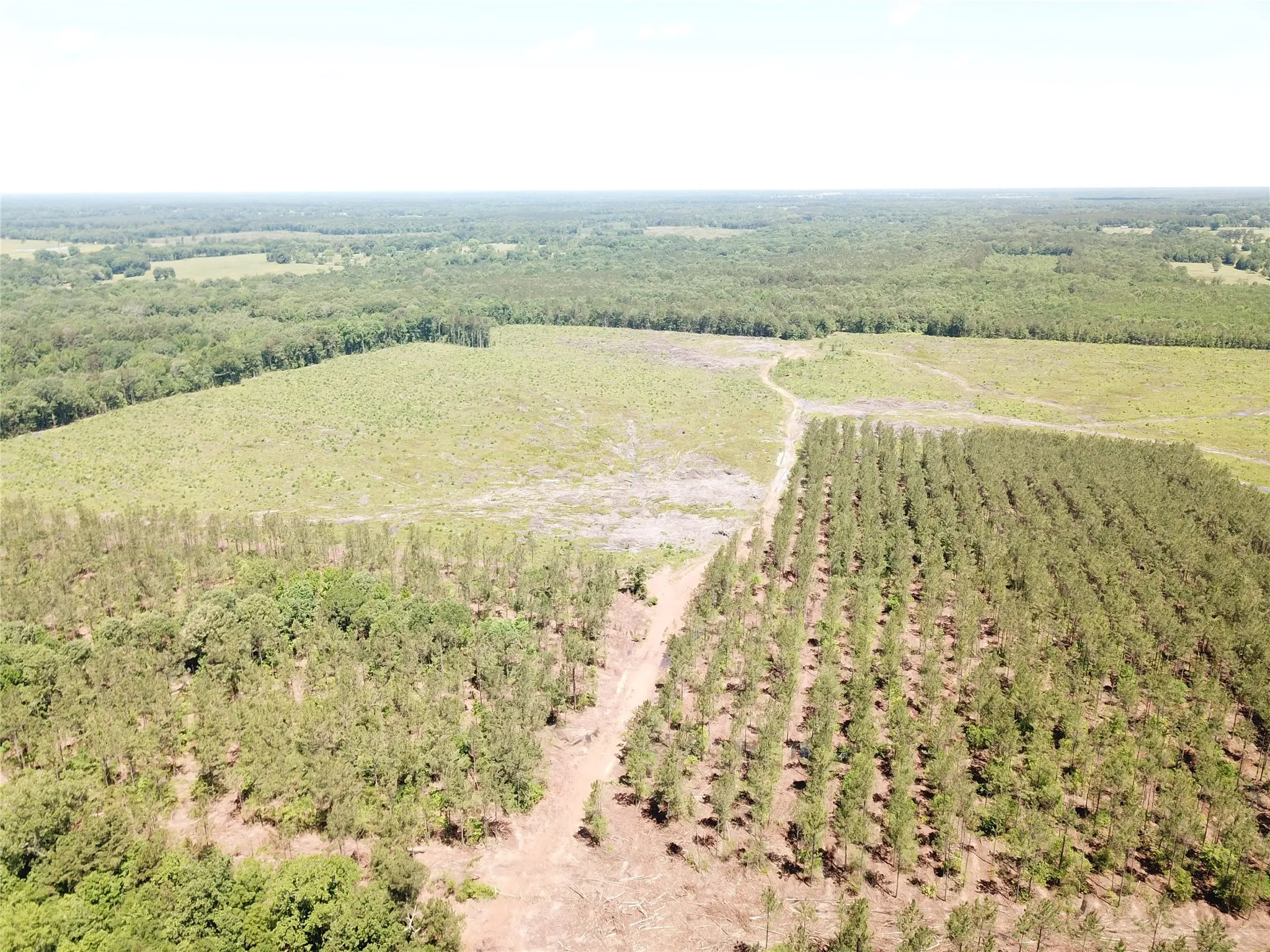 Unimproved Land For Sale in Bowie County , Off CR 4290, Simms, Texas 75574, 0, 0, Garage spaces, 0 Sqft, built in 0, mls#21409357, Real Estate Agent in Simms, Homes For Sale in Bowie county, Homes For Sale in Simms, Realtor in Simms Texas, Real Estate Brokerage Independent Realty Texas, Luminita Cordes Realtor