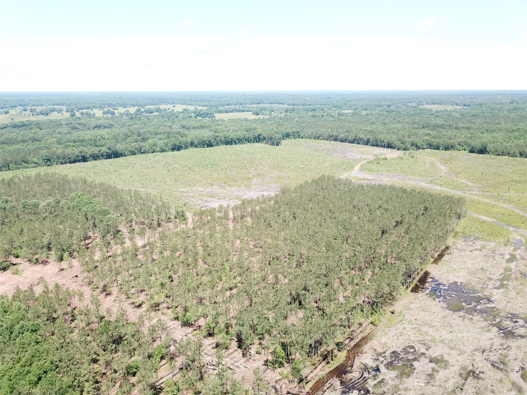 Unimproved Land For Sale in Bowie County , Off CR 4290, Simms, Texas 75574, 0, 0, Garage spaces, 0 Sqft, built in 0, mls#21409357, Real Estate Agent in Simms, Homes For Sale in Bowie county, Homes For Sale in Simms, Realtor in Simms Texas, Real Estate Brokerage Independent Realty Texas, Luminita Cordes Realtor