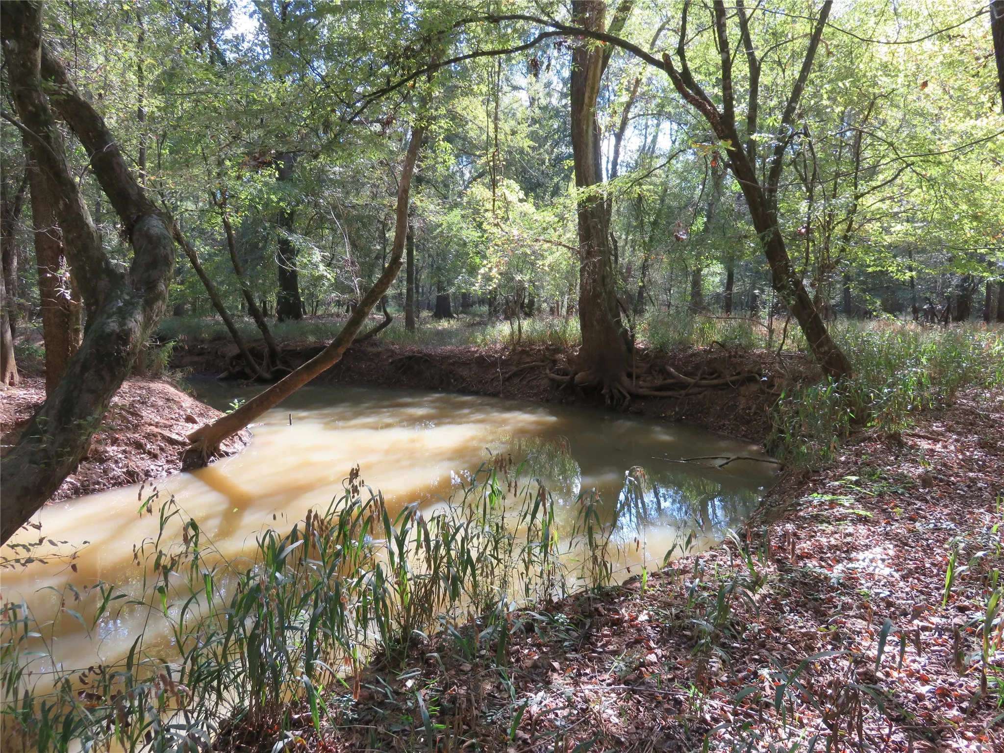 Improved Land For Sale in Nacogdoches County , 9795 Highway 59, Nacogdoches, Texas 75964, 0, 0, Garage spaces, 0 Sqft, built in 0, mls#21409363, Real Estate Agent in Nacogdoches, Homes For Sale in Nacogdoches county, Homes For Sale in Nacogdoches, Realtor in Nacogdoches Texas, Real Estate Brokerage Independent Realty Texas, Luminita Cordes Realtor