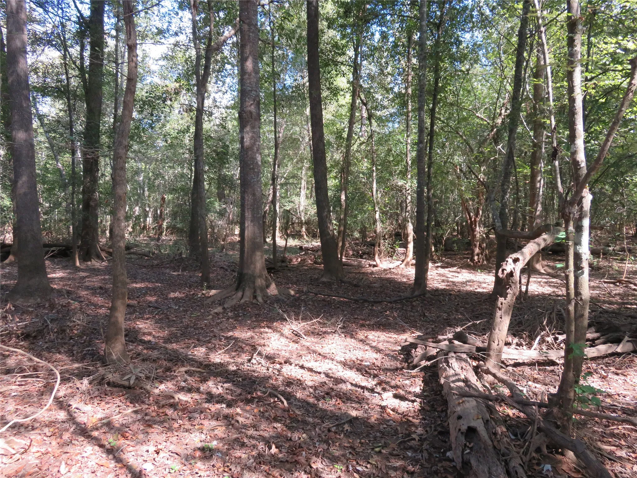 Improved Land For Sale in Nacogdoches County , 9795 Highway 59, Nacogdoches, Texas 75964, 0, 0, Garage spaces, 0 Sqft, built in 0, mls#21409363, Real Estate Agent in Nacogdoches, Homes For Sale in Nacogdoches county, Homes For Sale in Nacogdoches, Realtor in Nacogdoches Texas, Real Estate Brokerage Independent Realty Texas, Luminita Cordes Realtor