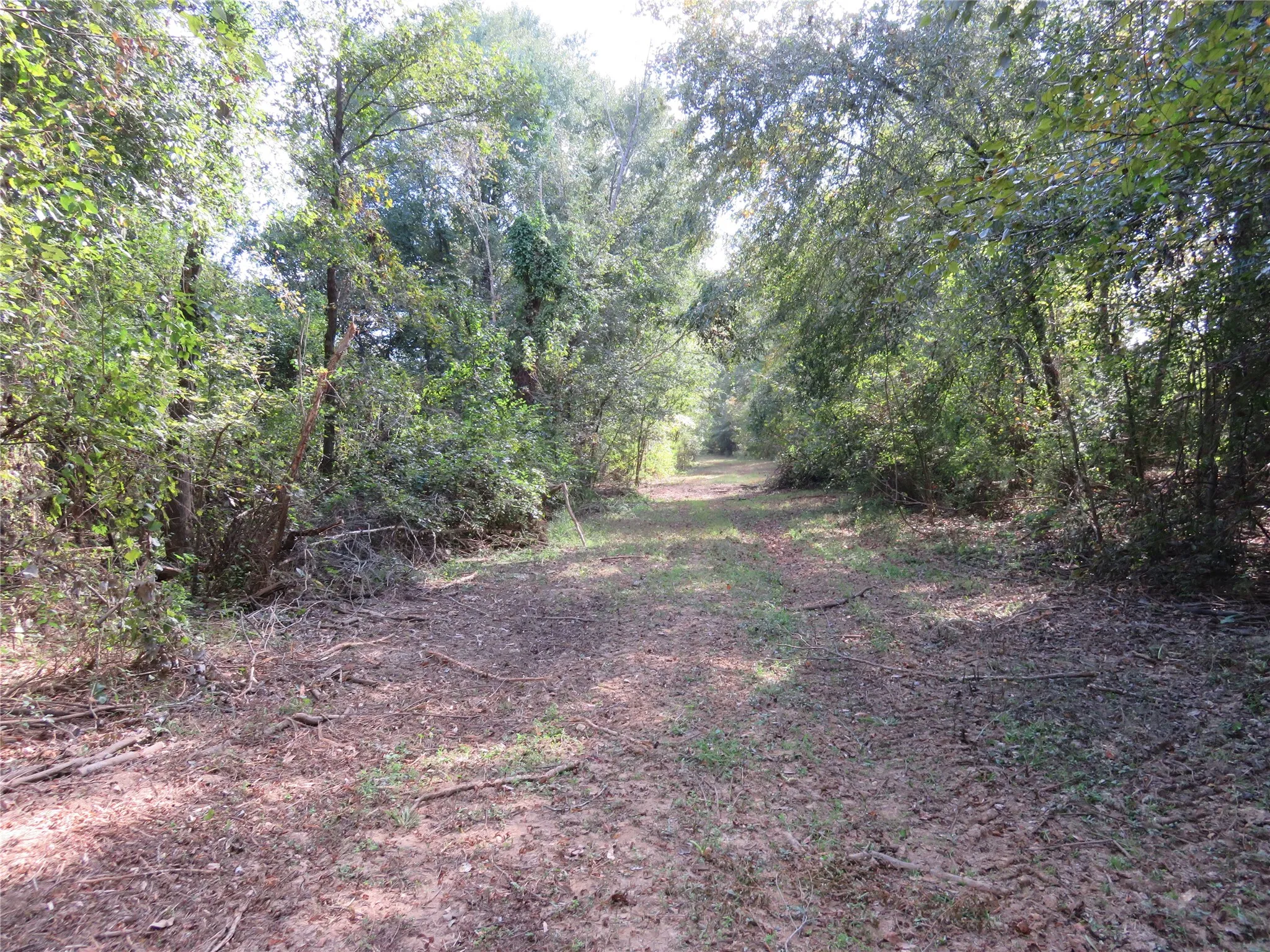 Improved Land For Sale in Nacogdoches County , 9795 Highway 59, Nacogdoches, Texas 75964, 0, 0, Garage spaces, 0 Sqft, built in 0, mls#21409363, Real Estate Agent in Nacogdoches, Homes For Sale in Nacogdoches county, Homes For Sale in Nacogdoches, Realtor in Nacogdoches Texas, Real Estate Brokerage Independent Realty Texas, Luminita Cordes Realtor