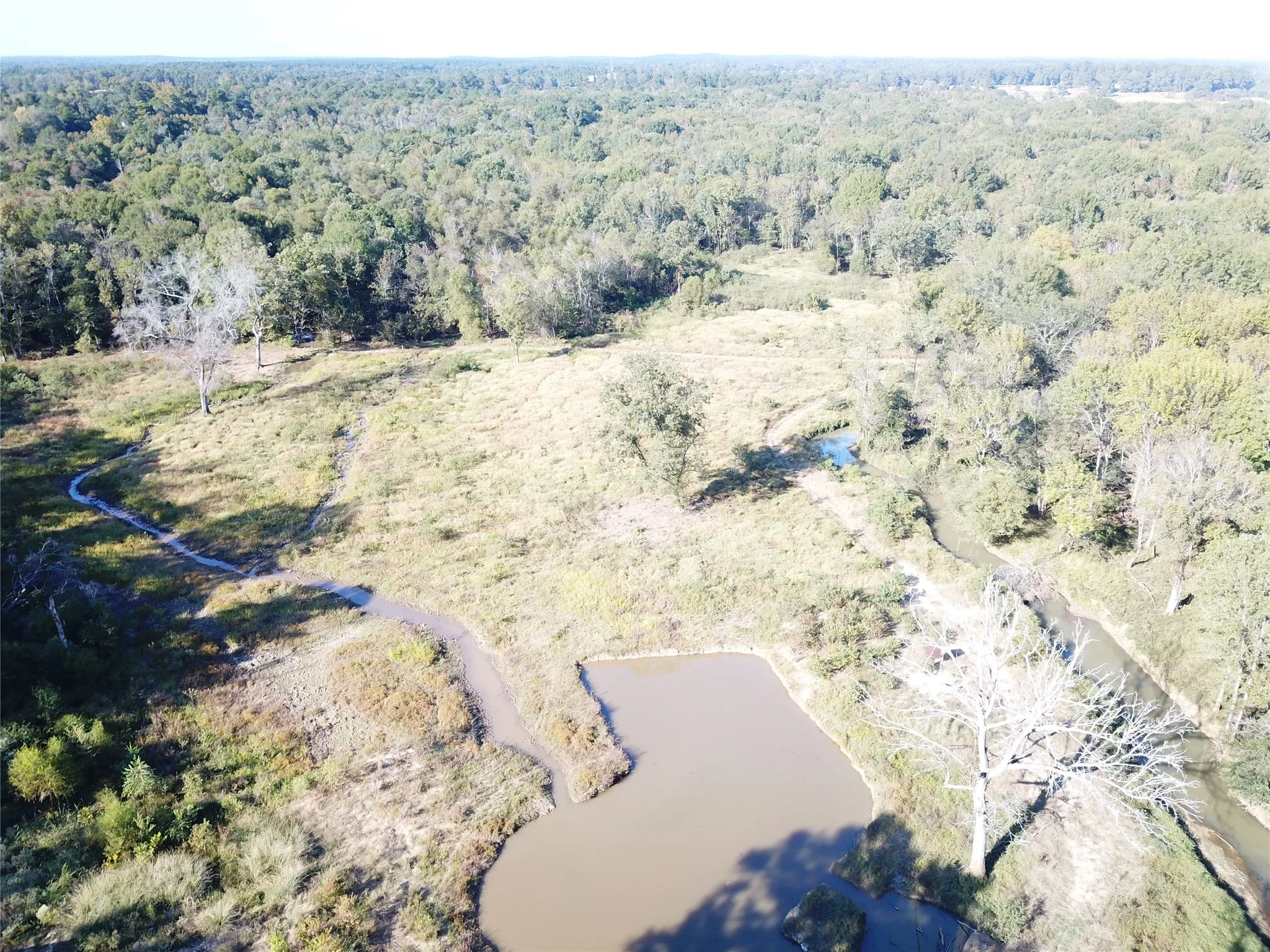 Improved Land For Sale in Nacogdoches County , 9795 Highway 59, Nacogdoches, Texas 75964, 0, 0, Garage spaces, 0 Sqft, built in 0, mls#21409363, Real Estate Agent in Nacogdoches, Homes For Sale in Nacogdoches county, Homes For Sale in Nacogdoches, Realtor in Nacogdoches Texas, Real Estate Brokerage Independent Realty Texas, Luminita Cordes Realtor