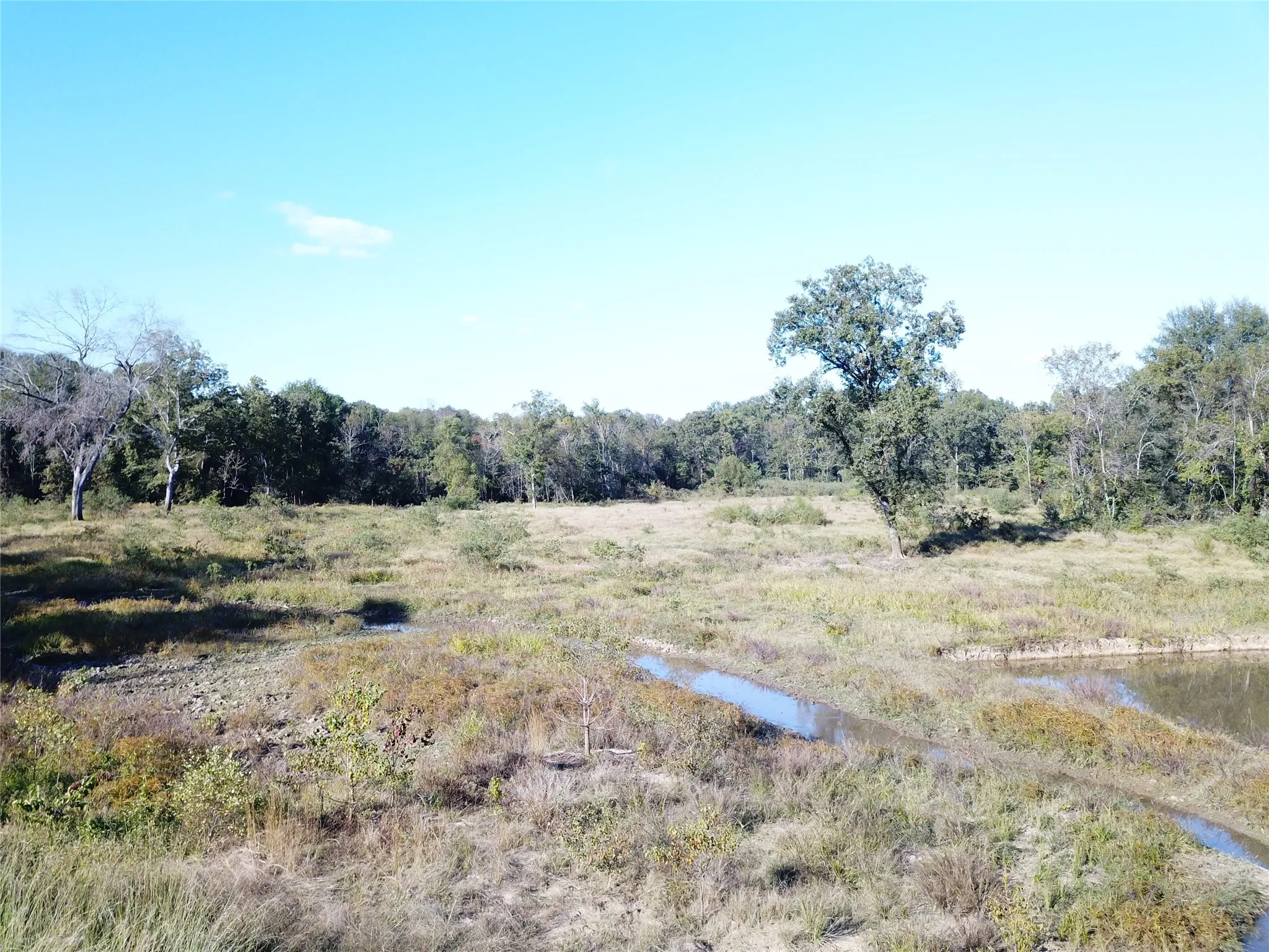 Improved Land For Sale in Nacogdoches County , 9795 Highway 59, Nacogdoches, Texas 75964, 0, 0, Garage spaces, 0 Sqft, built in 0, mls#21409363, Real Estate Agent in Nacogdoches, Homes For Sale in Nacogdoches county, Homes For Sale in Nacogdoches, Realtor in Nacogdoches Texas, Real Estate Brokerage Independent Realty Texas, Luminita Cordes Realtor