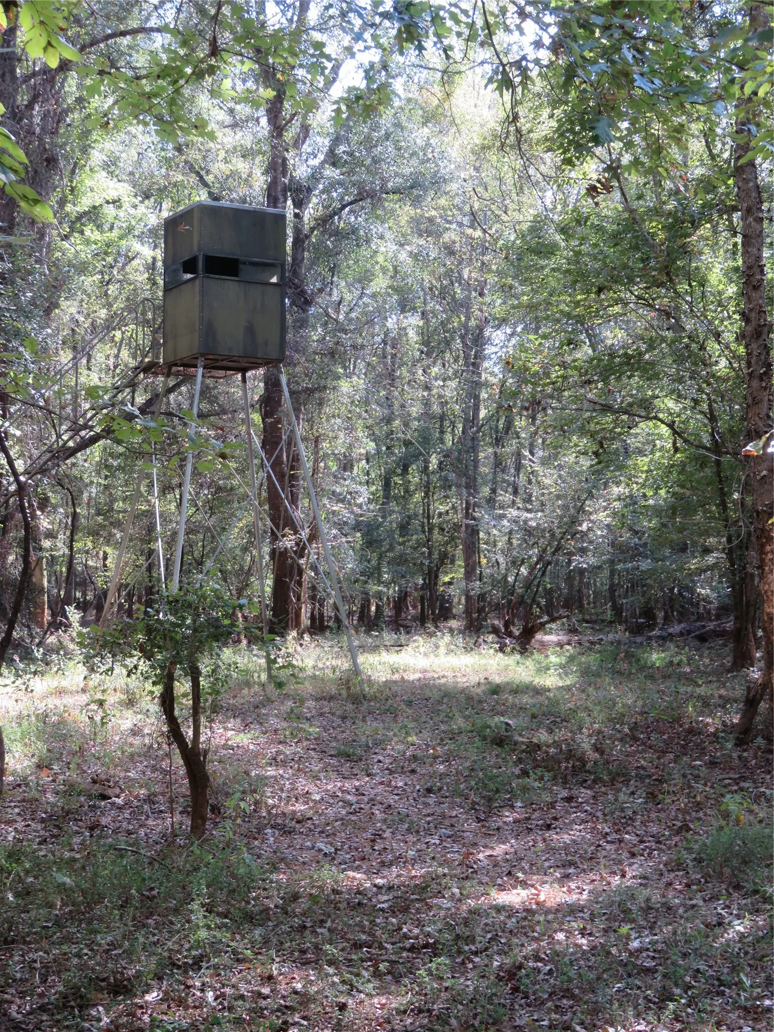 Improved Land For Sale in Nacogdoches County , 9795 Highway 59, Nacogdoches, Texas 75964, 0, 0, Garage spaces, 0 Sqft, built in 0, mls#21409363, Real Estate Agent in Nacogdoches, Homes For Sale in Nacogdoches county, Homes For Sale in Nacogdoches, Realtor in Nacogdoches Texas, Real Estate Brokerage Independent Realty Texas, Luminita Cordes Realtor