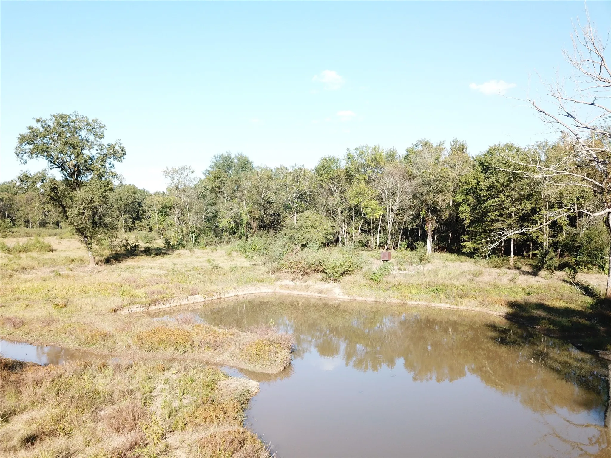 Improved Land For Sale in Nacogdoches County , 9795 Highway 59, Nacogdoches, Texas 75964, 0, 0, Garage spaces, 0 Sqft, built in 0, mls#21409363, Real Estate Agent in Nacogdoches, Homes For Sale in Nacogdoches county, Homes For Sale in Nacogdoches, Realtor in Nacogdoches Texas, Real Estate Brokerage Independent Realty Texas, Luminita Cordes Realtor