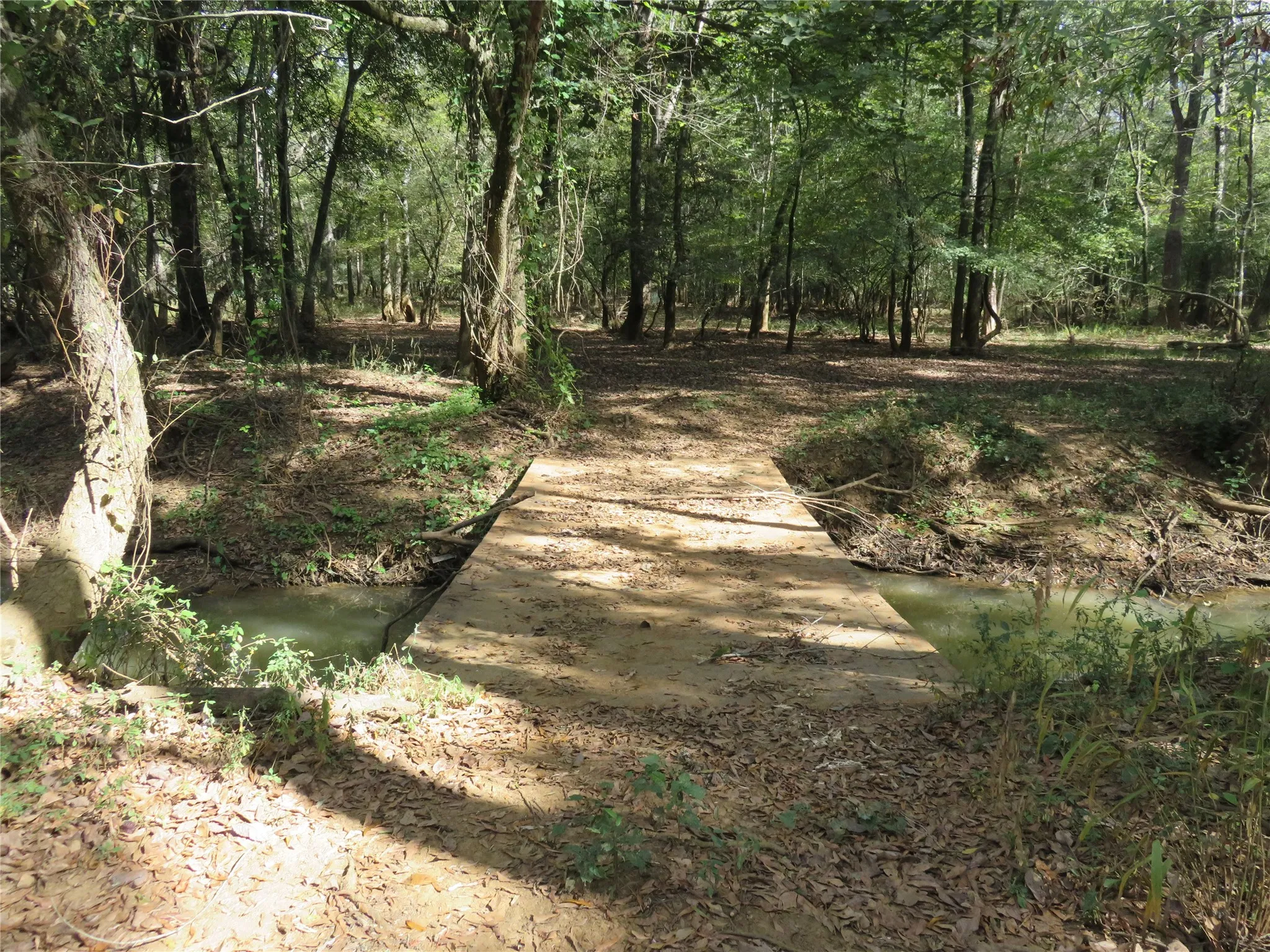 Improved Land For Sale in Nacogdoches County , 9795 Highway 59, Nacogdoches, Texas 75964, 0, 0, Garage spaces, 0 Sqft, built in 0, mls#21409363, Real Estate Agent in Nacogdoches, Homes For Sale in Nacogdoches county, Homes For Sale in Nacogdoches, Realtor in Nacogdoches Texas, Real Estate Brokerage Independent Realty Texas, Luminita Cordes Realtor