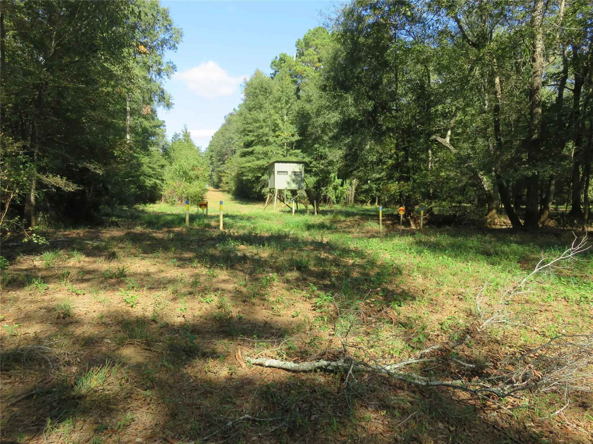 Improved Land For Sale in Nacogdoches County , 9795 Highway 59, Nacogdoches, Texas 75964, 0, 0, Garage spaces, 0 Sqft, built in 0, mls#21409363, Real Estate Agent in Nacogdoches, Homes For Sale in Nacogdoches county, Homes For Sale in Nacogdoches, Realtor in Nacogdoches Texas, Real Estate Brokerage Independent Realty Texas, Luminita Cordes Realtor