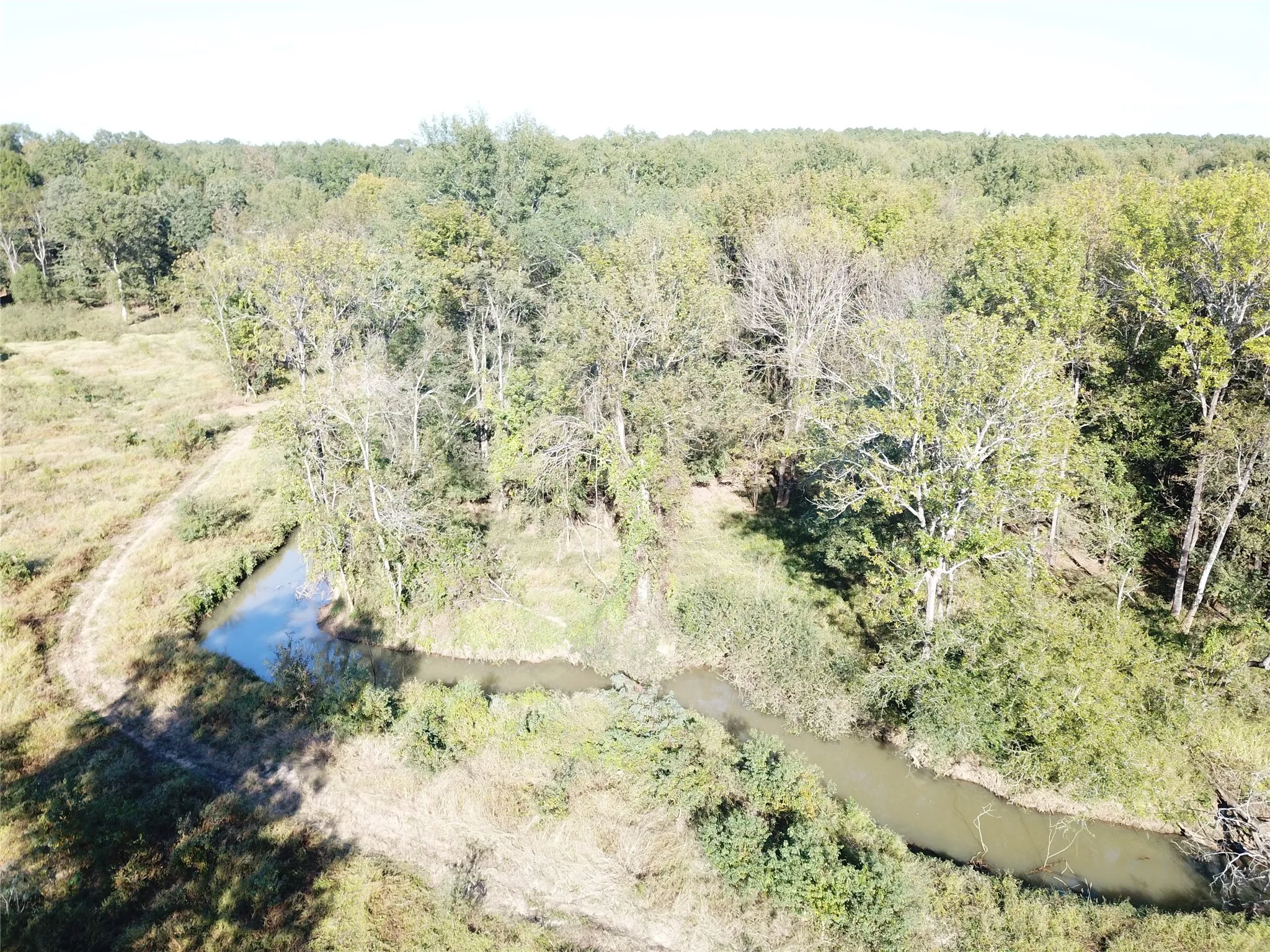 Improved Land For Sale in Nacogdoches County , 9795 Highway 59, Nacogdoches, Texas 75964, 0, 0, Garage spaces, 0 Sqft, built in 0, mls#21409363, Real Estate Agent in Nacogdoches, Homes For Sale in Nacogdoches county, Homes For Sale in Nacogdoches, Realtor in Nacogdoches Texas, Real Estate Brokerage Independent Realty Texas, Luminita Cordes Realtor