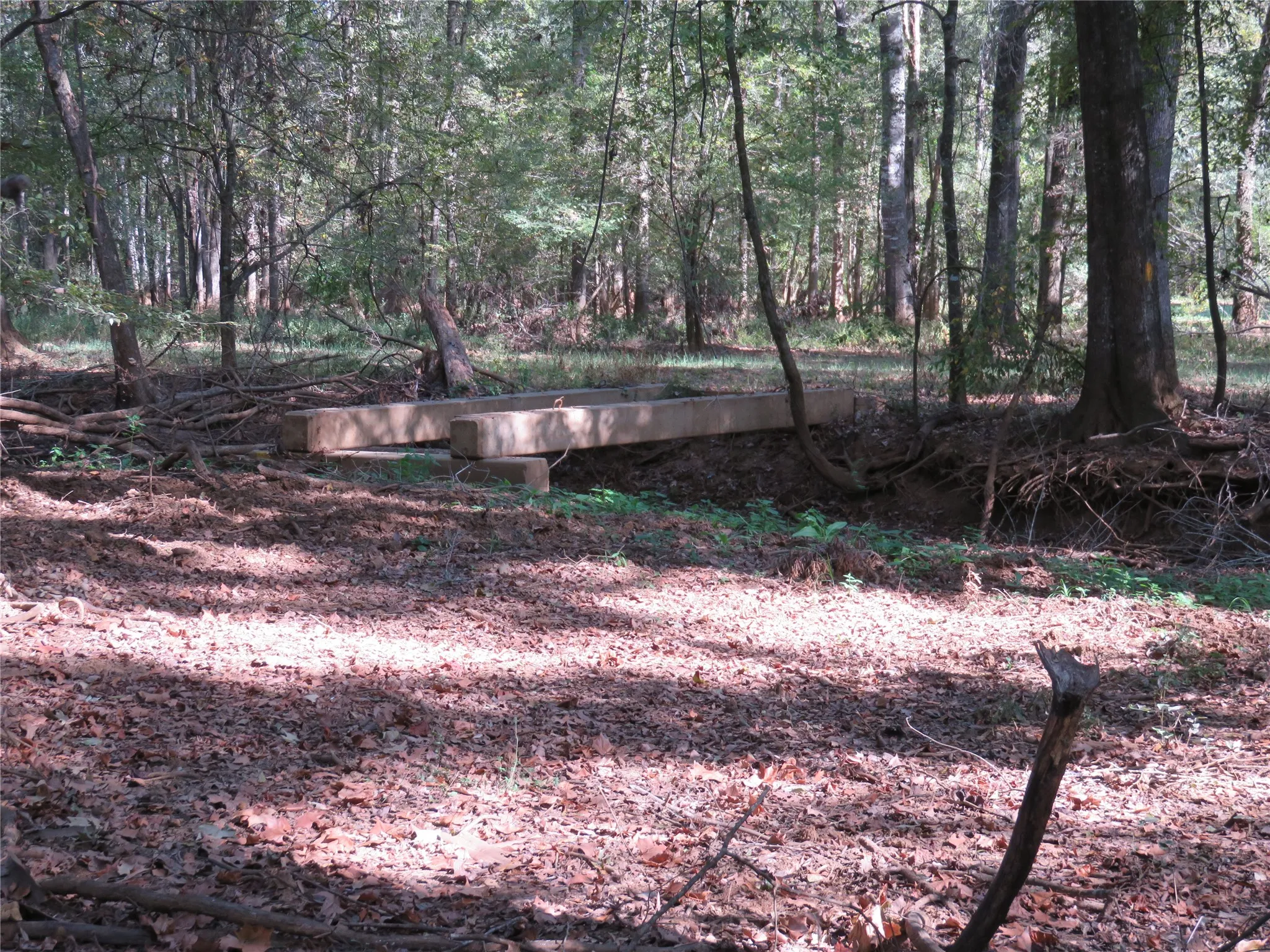 Improved Land For Sale in Nacogdoches County , 9795 Highway 59, Nacogdoches, Texas 75964, 0, 0, Garage spaces, 0 Sqft, built in 0, mls#21409363, Real Estate Agent in Nacogdoches, Homes For Sale in Nacogdoches county, Homes For Sale in Nacogdoches, Realtor in Nacogdoches Texas, Real Estate Brokerage Independent Realty Texas, Luminita Cordes Realtor