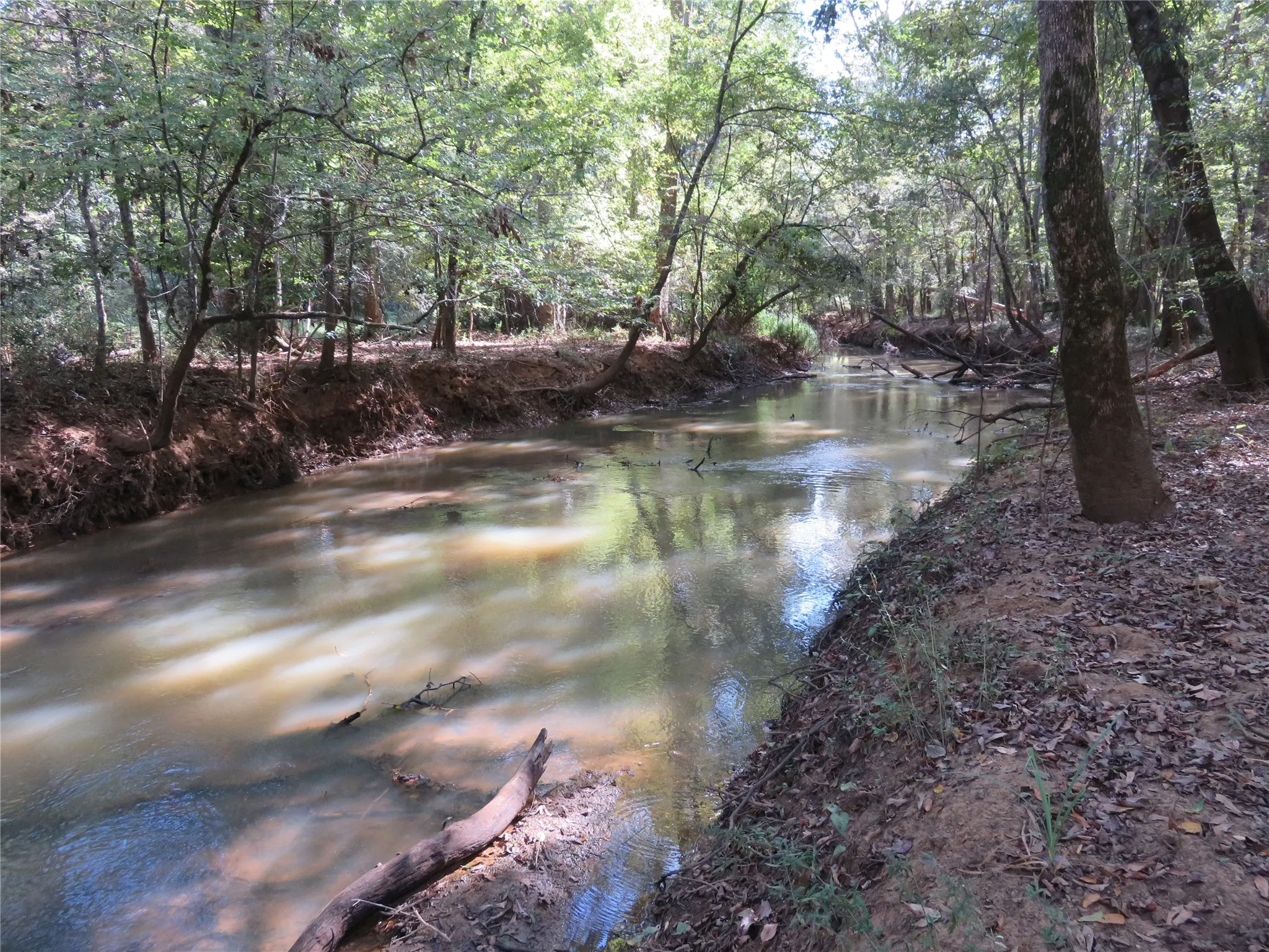 Improved Land For Sale in Nacogdoches County , 9795 Highway 59, Nacogdoches, Texas 75964, 0, 0, Garage spaces, 0 Sqft, built in 0, mls#21409363, Real Estate Agent in Nacogdoches, Homes For Sale in Nacogdoches county, Homes For Sale in Nacogdoches, Realtor in Nacogdoches Texas, Real Estate Brokerage Independent Realty Texas, Luminita Cordes Realtor