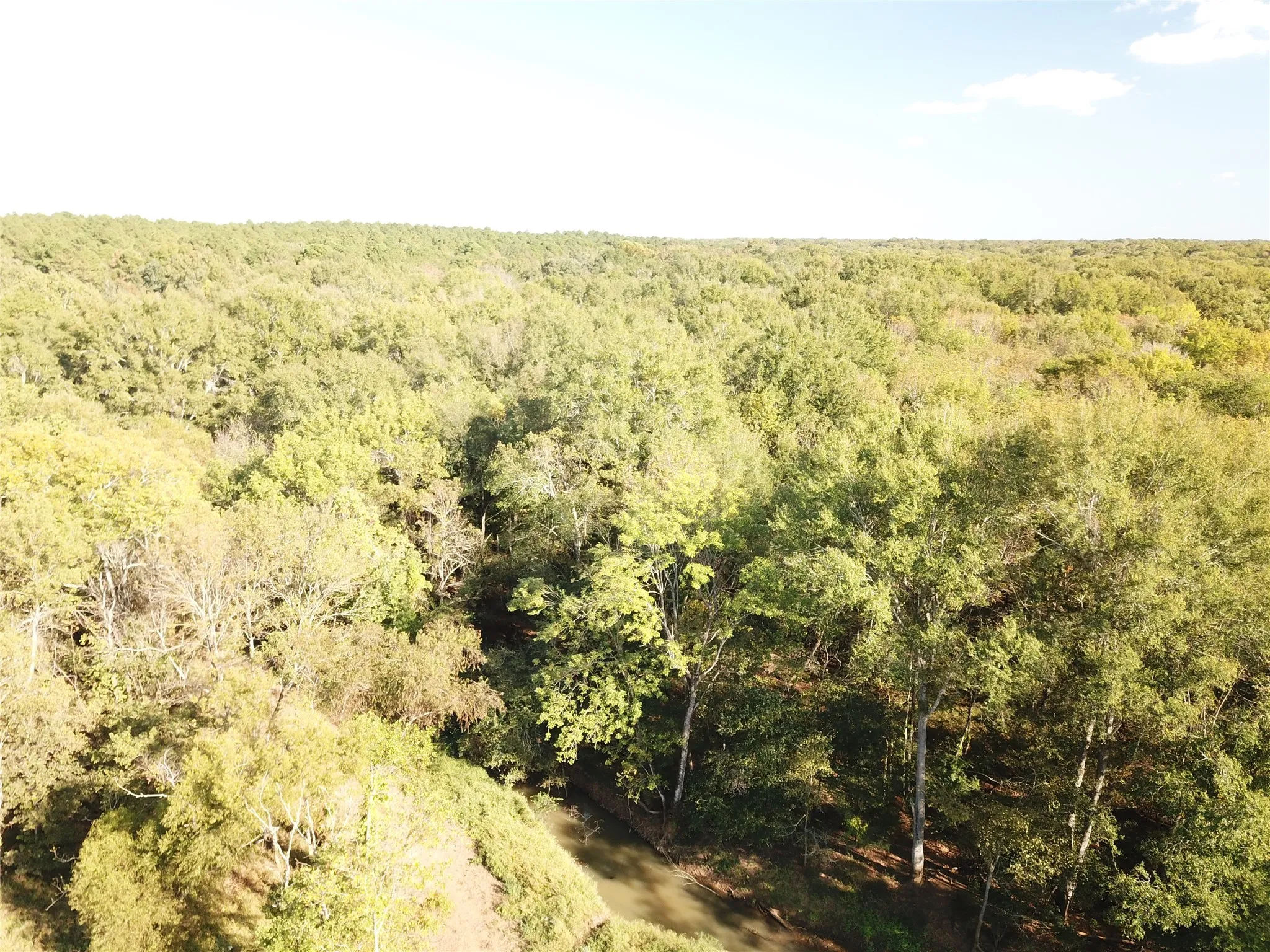 Improved Land For Sale in Nacogdoches County , 9795 Highway 59, Nacogdoches, Texas 75964, 0, 0, Garage spaces, 0 Sqft, built in 0, mls#21409363, Real Estate Agent in Nacogdoches, Homes For Sale in Nacogdoches county, Homes For Sale in Nacogdoches, Realtor in Nacogdoches Texas, Real Estate Brokerage Independent Realty Texas, Luminita Cordes Realtor